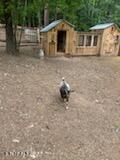 1932 Stony Point Rd