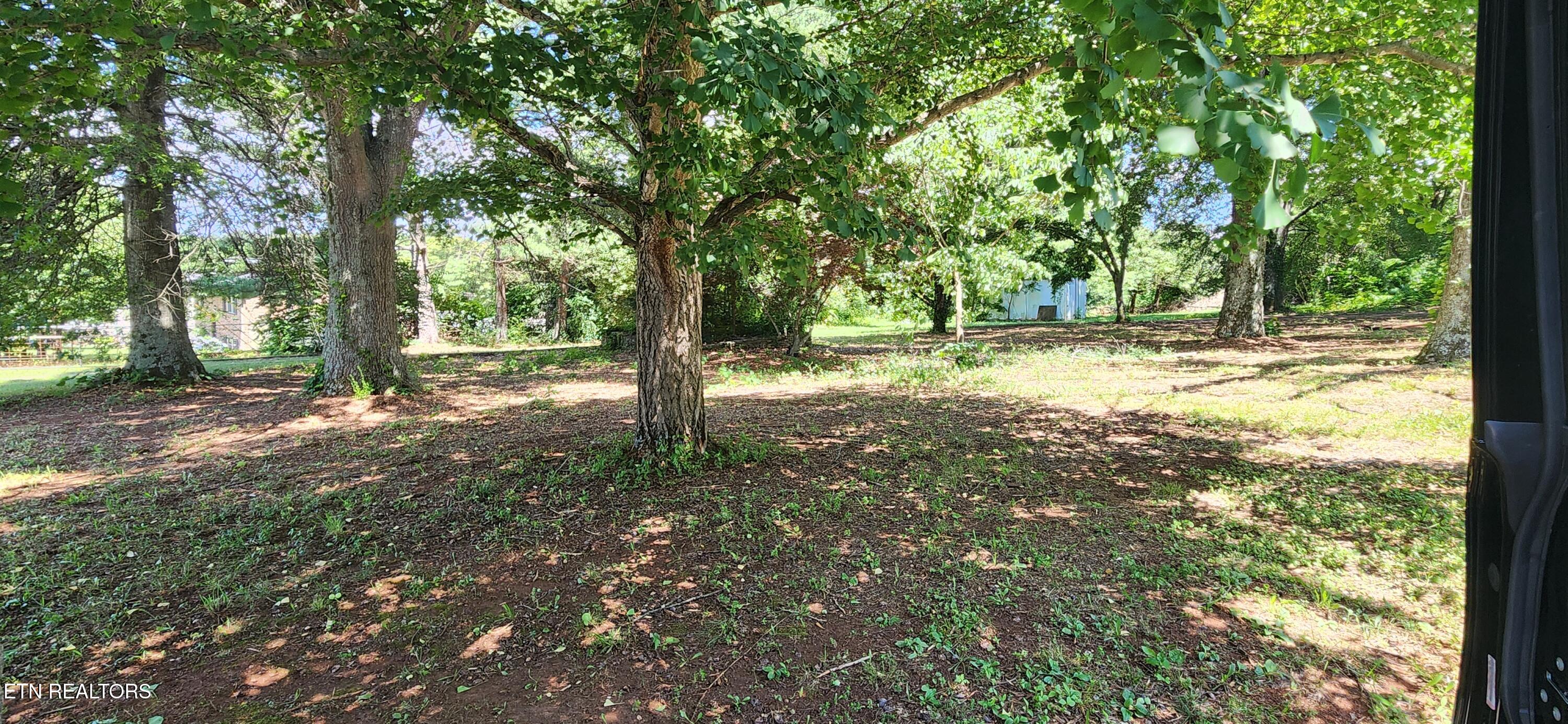 2816 Cansler Drive