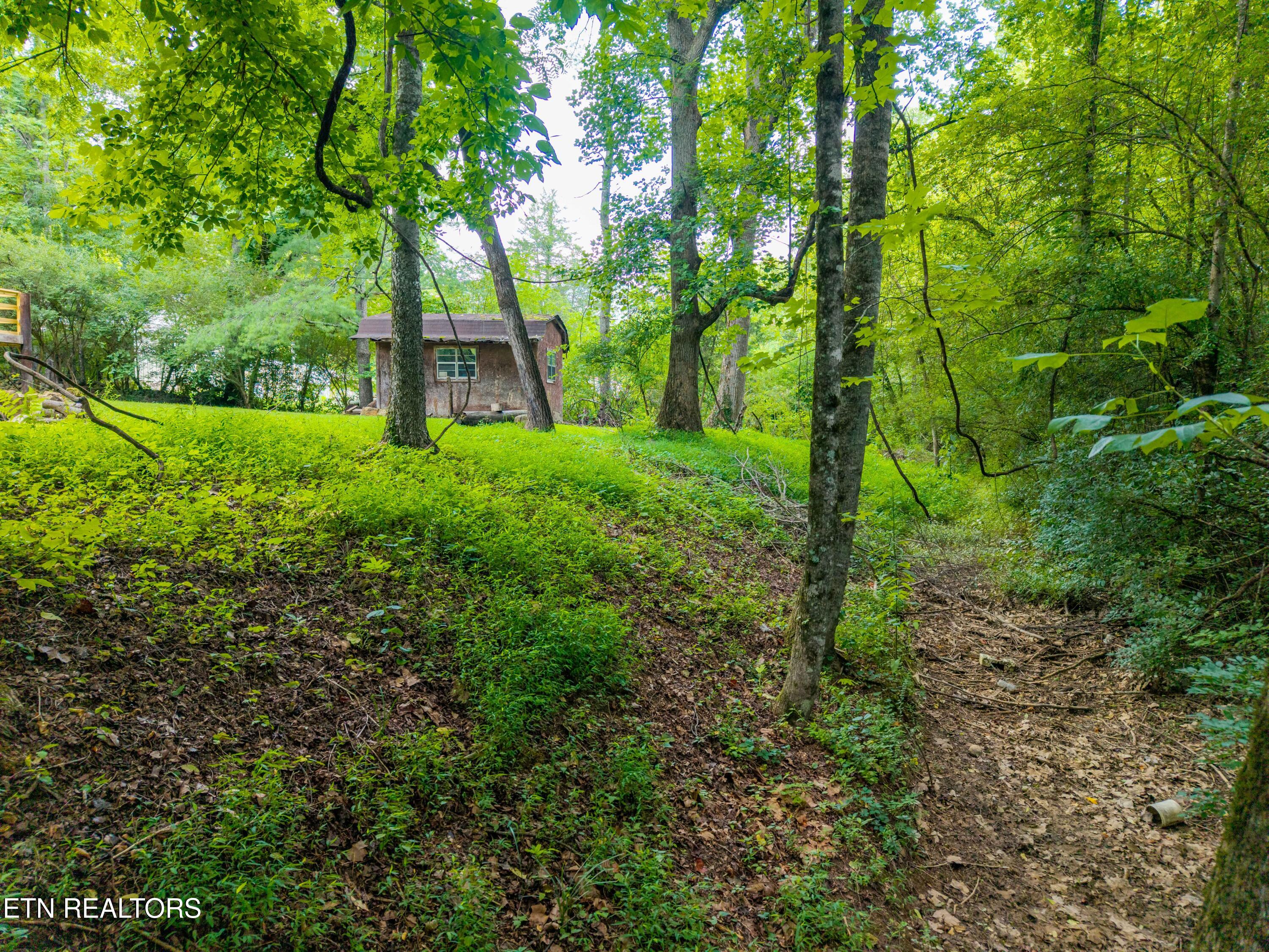 143 Old West Millers Cove Rd