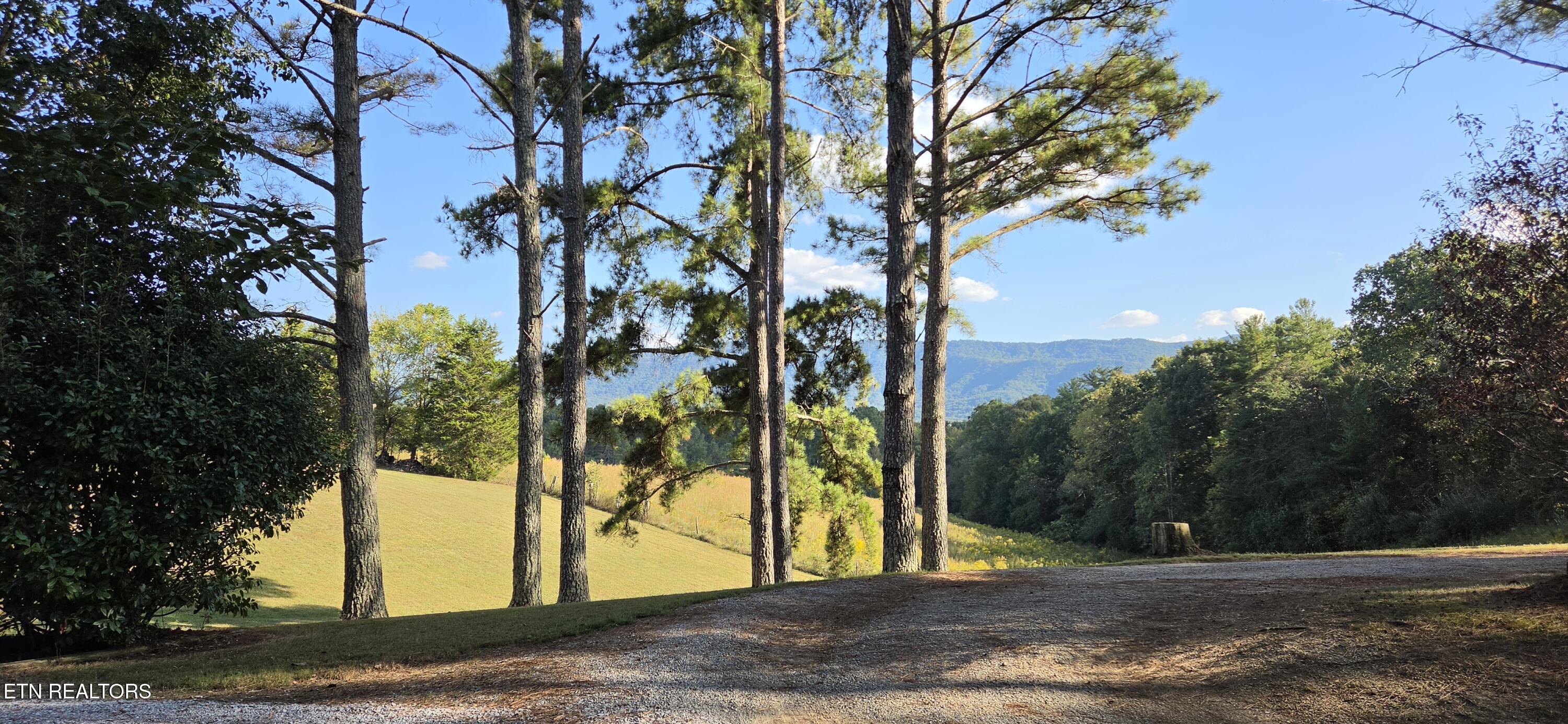 1845 Tree Tops Lane