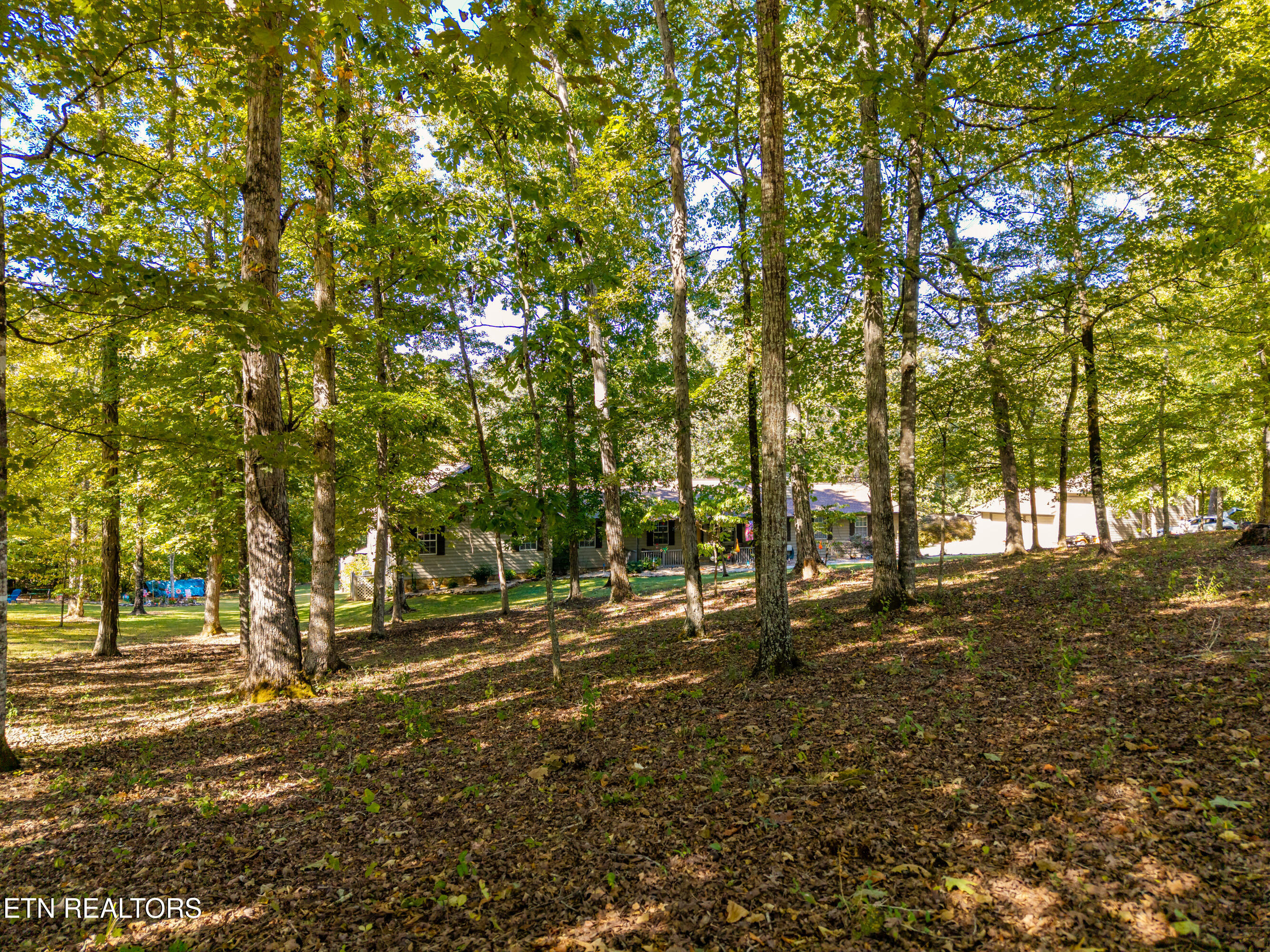 1845 Tree Tops Lane