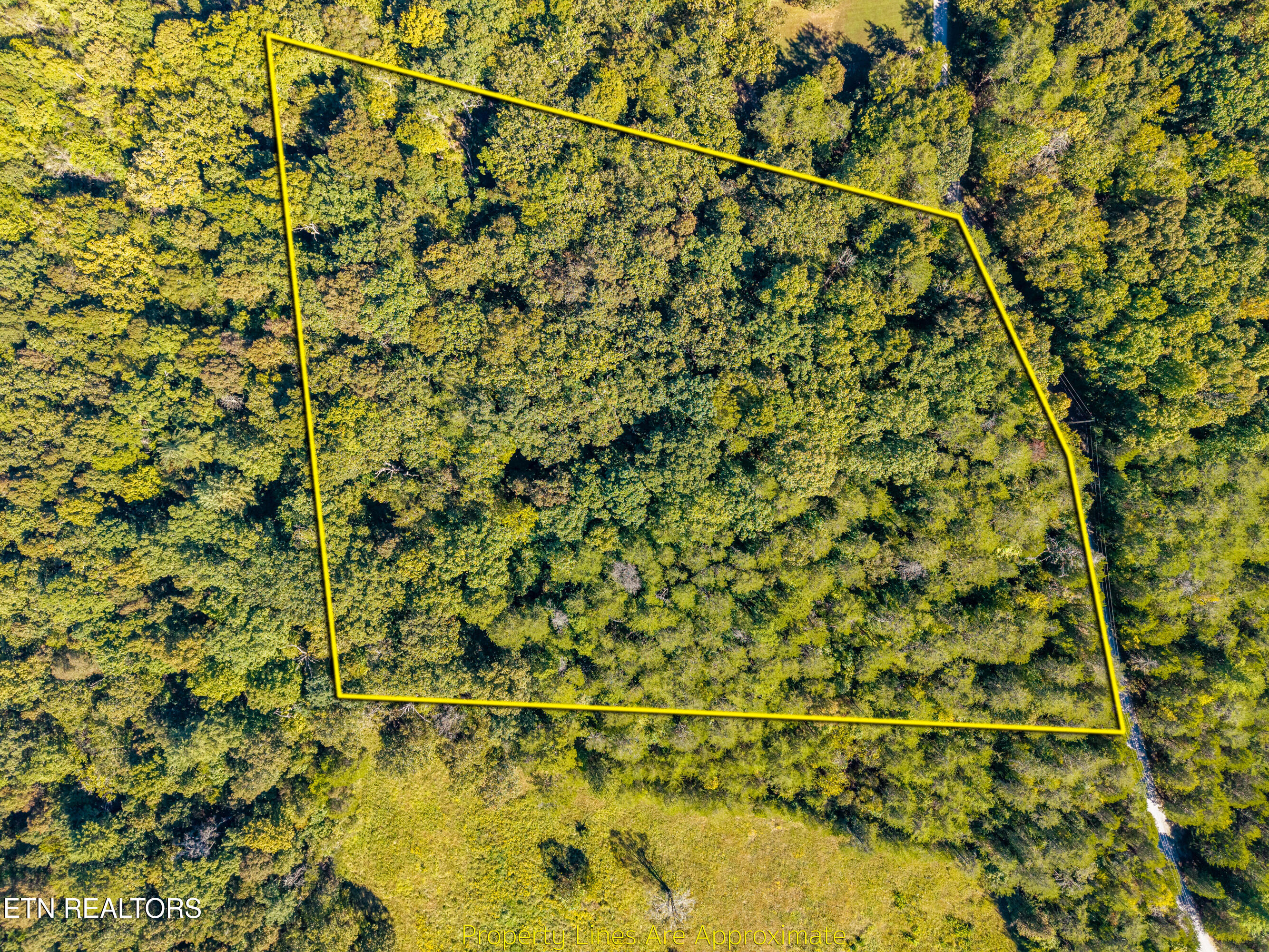1903 Tree Tops Lane