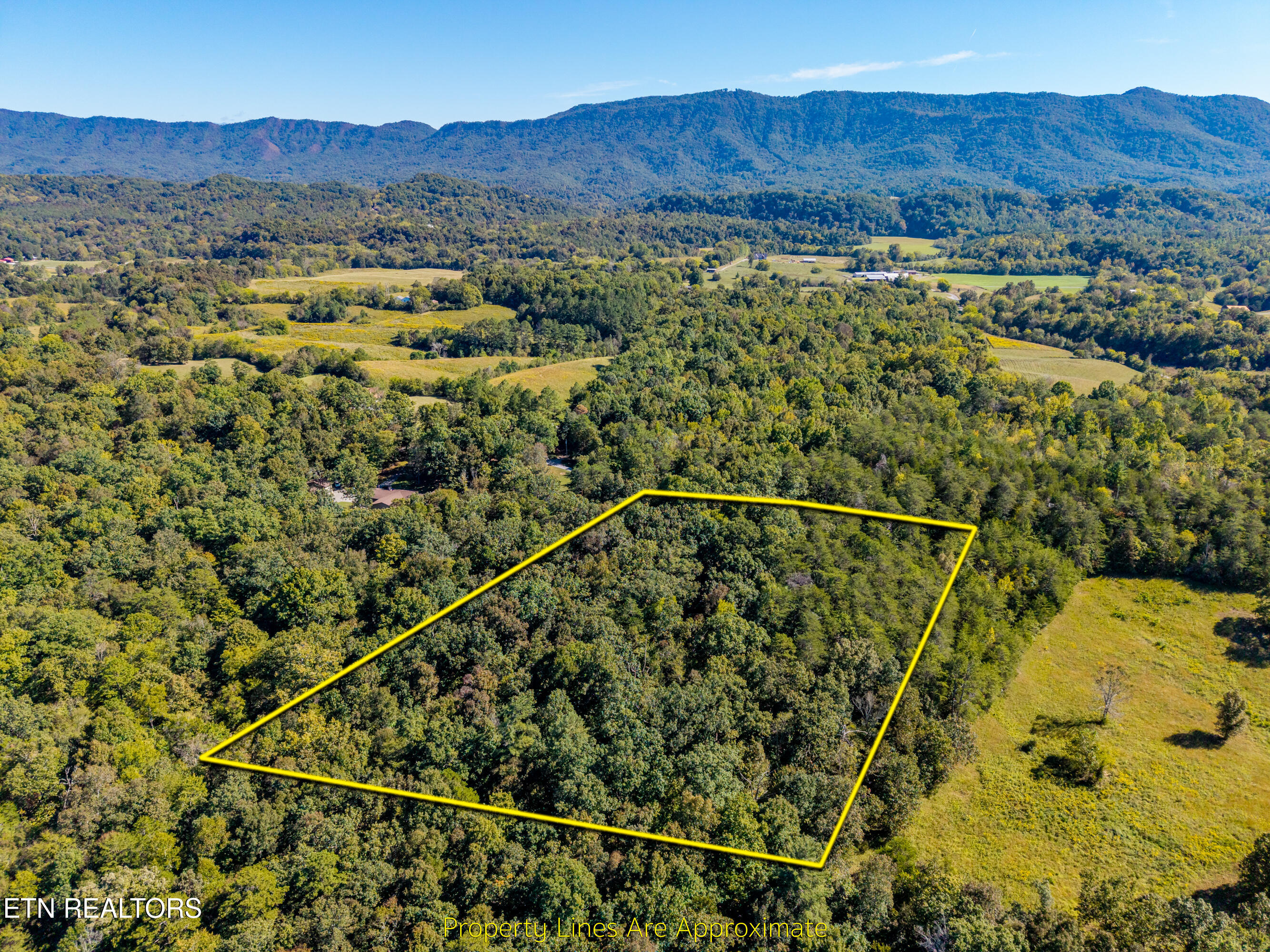 1903 Tree Tops Lane