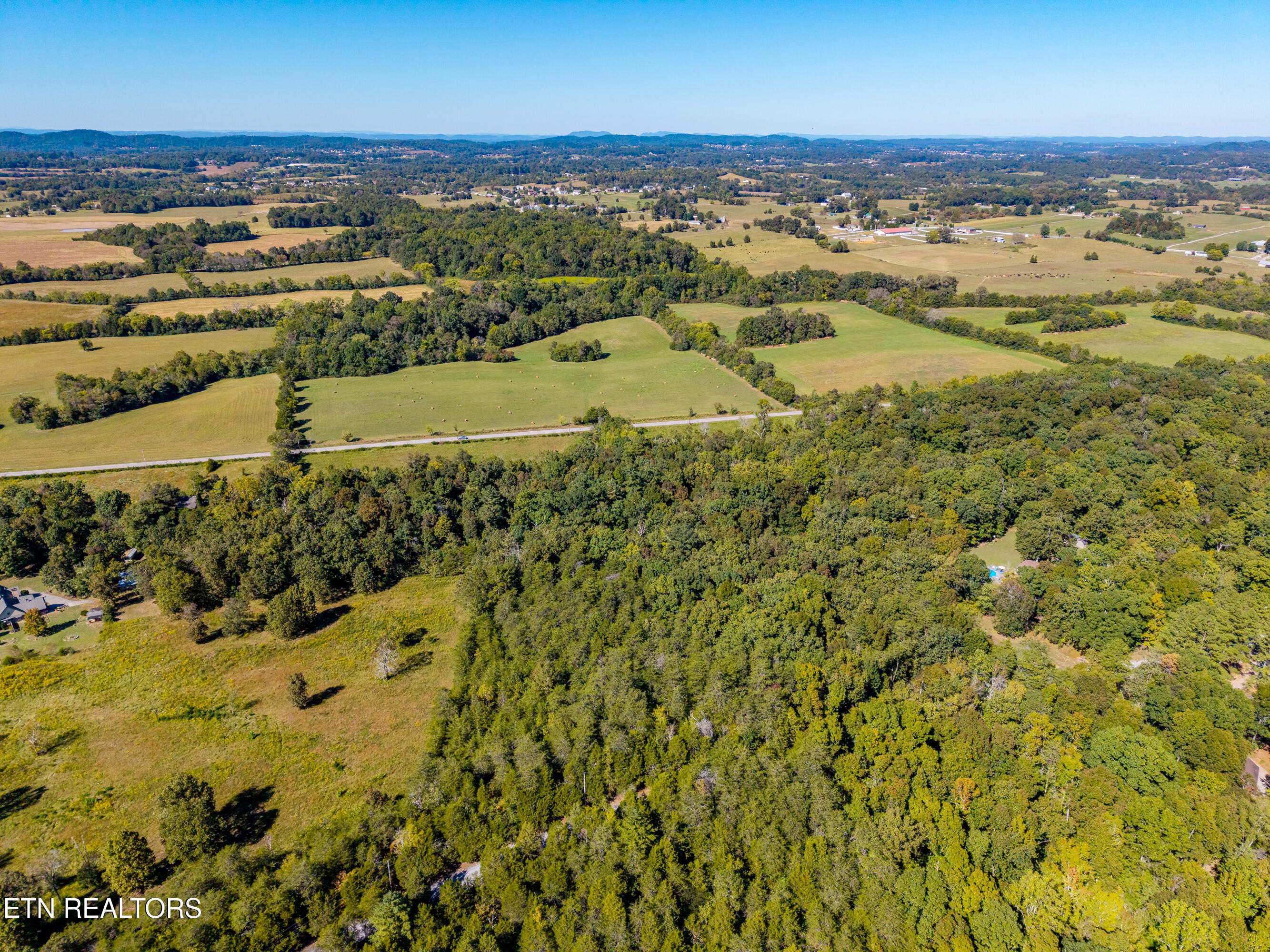 1903 Tree Tops Lane