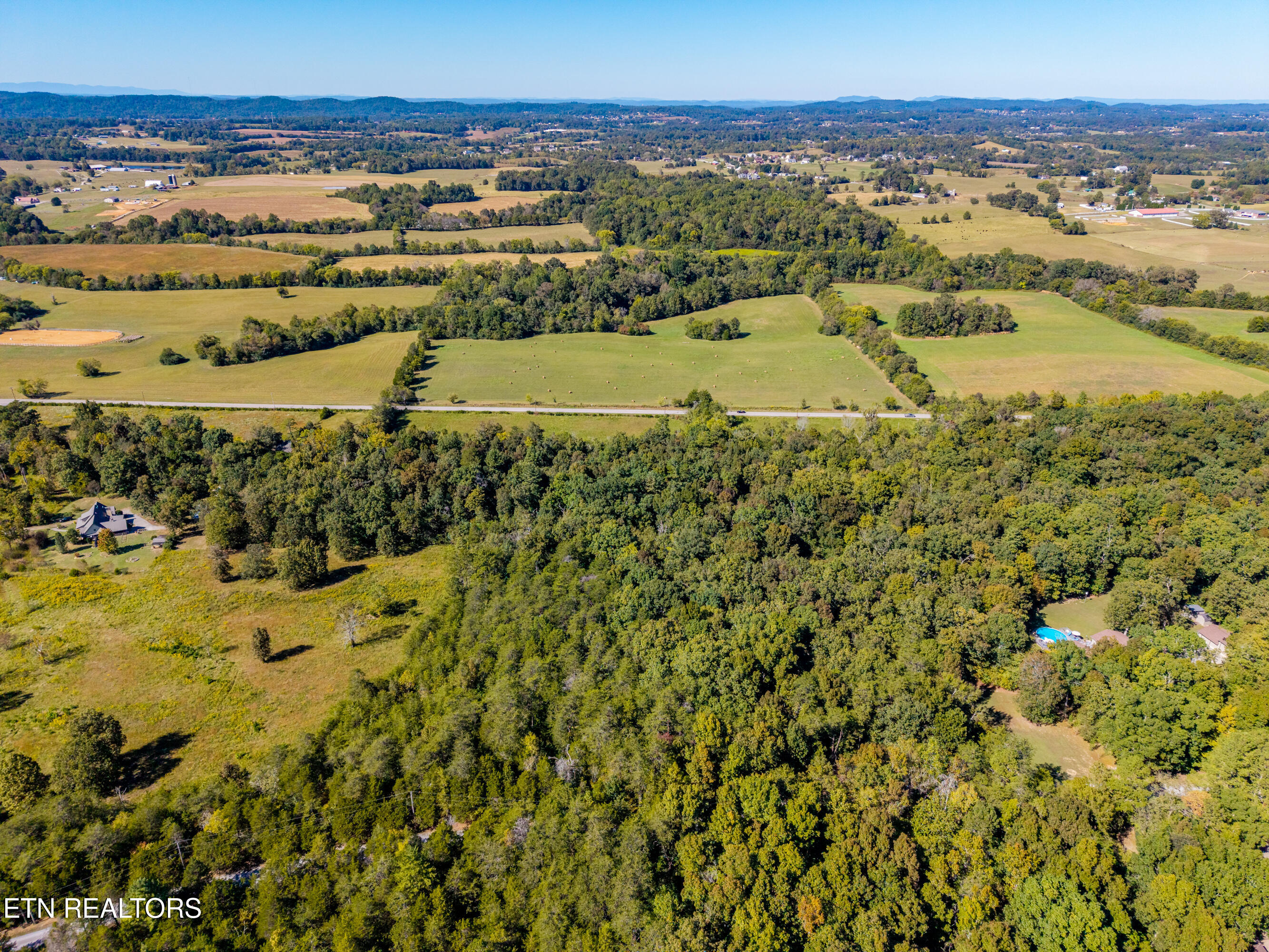 1903 Tree Tops Lane