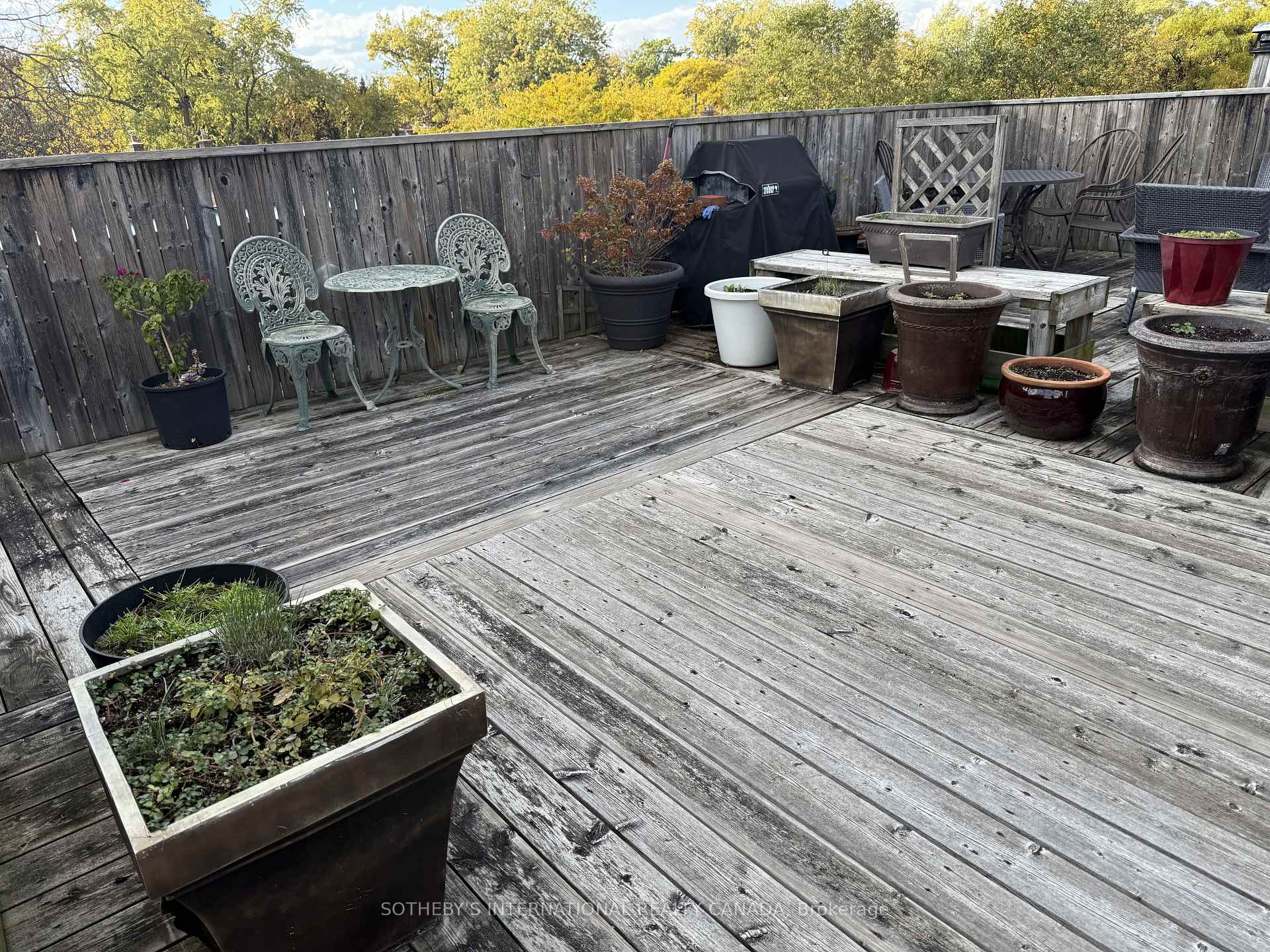 8 Hawthorn Avenue 202