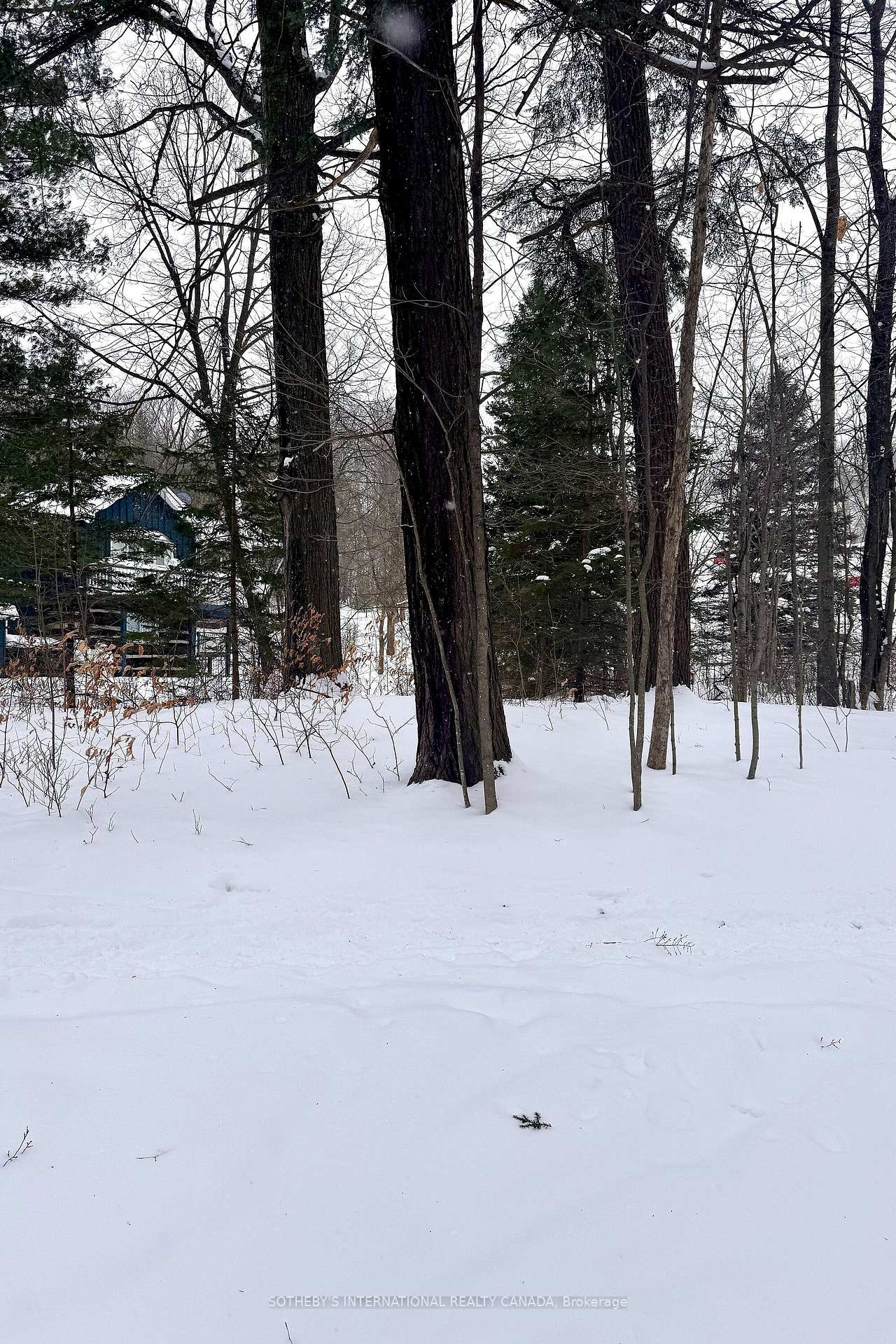 39 Pine River Crescent