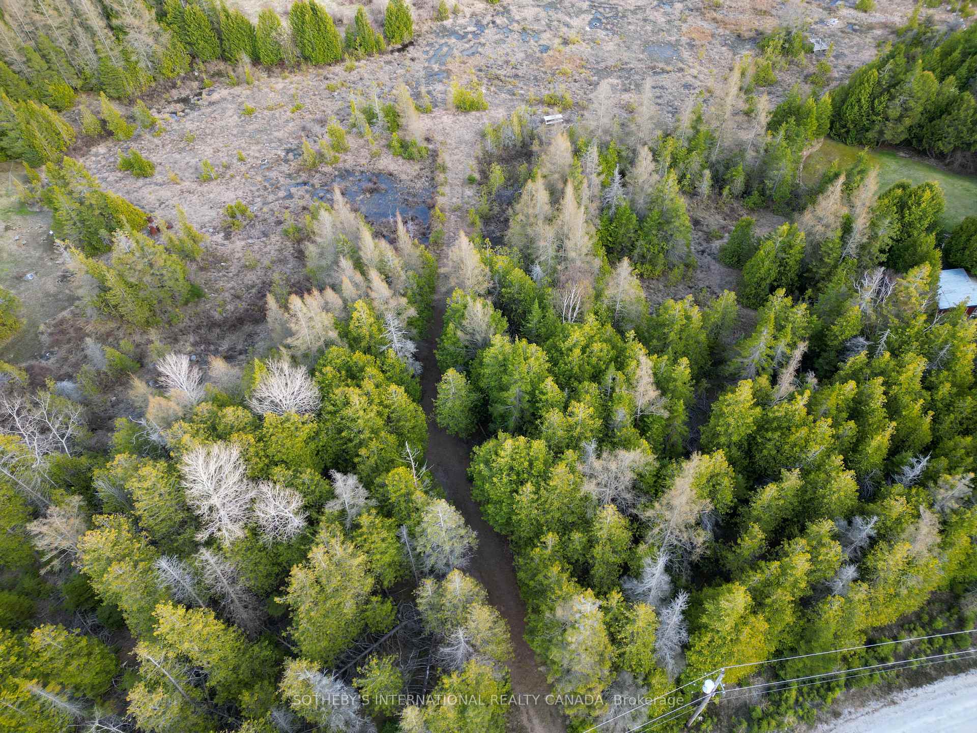 LOT 17 FORBES Road