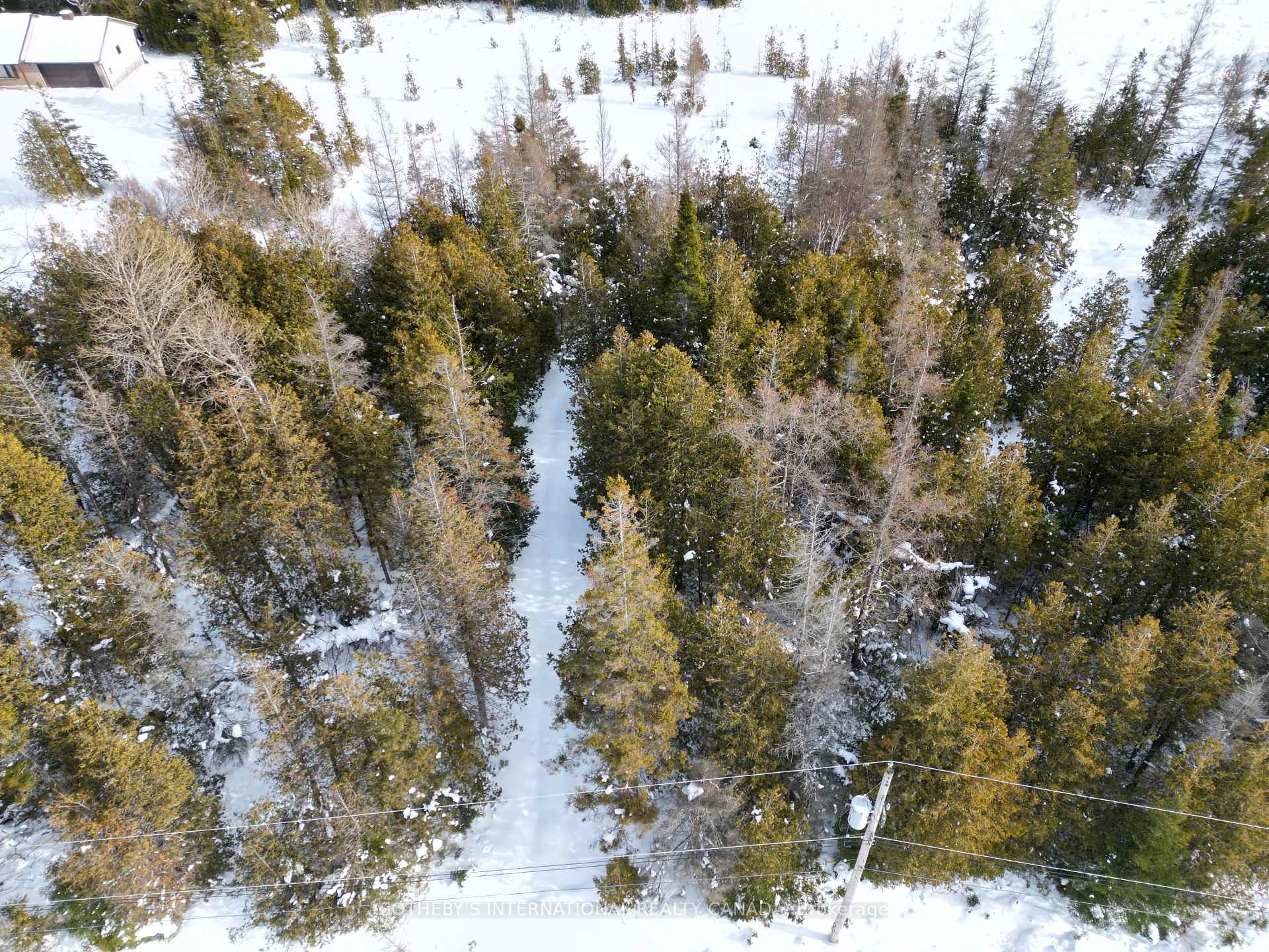 LOT 17 FORBES Road