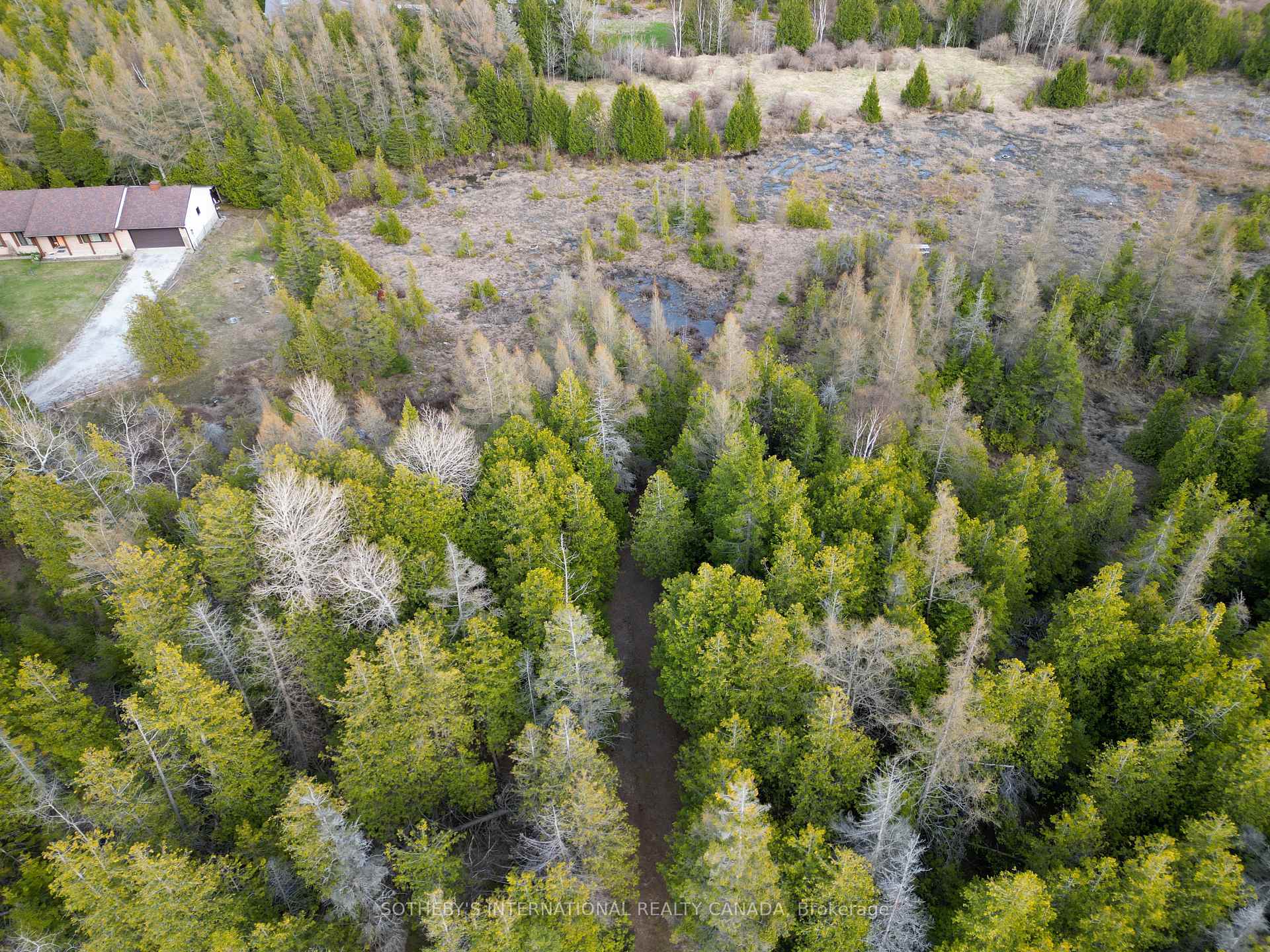 LOT 17 FORBES Road