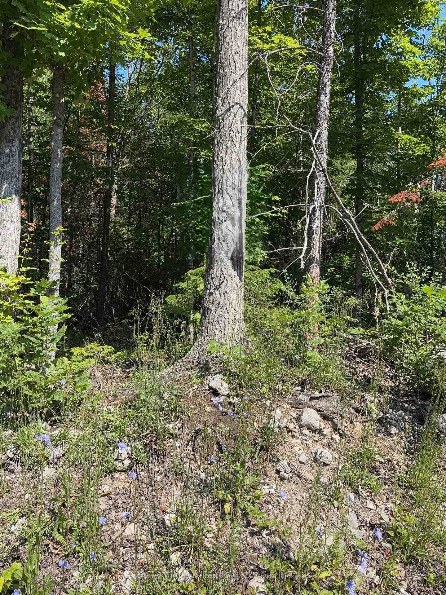 Lot 30 White Valley Road