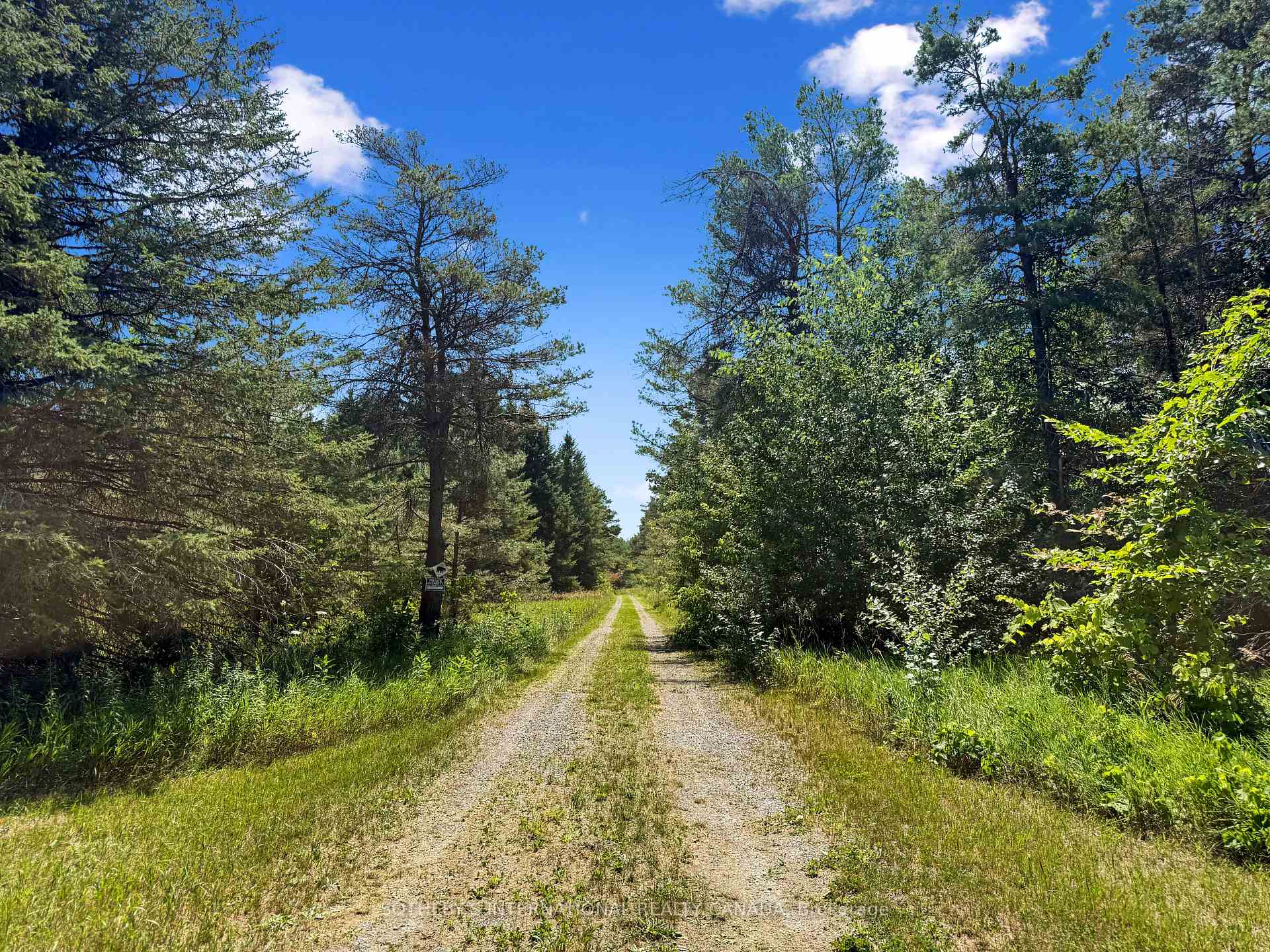499 Concession Rd 4 East Road