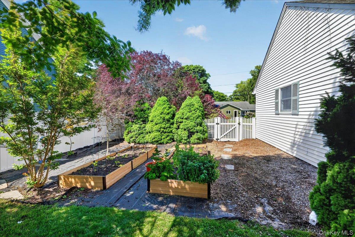 17 Barteau Avenue