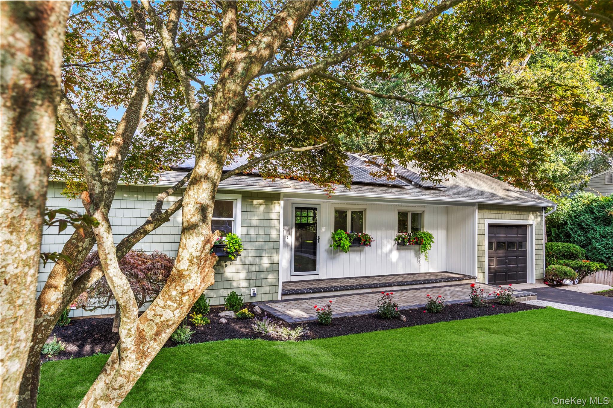 19 Mott Drive