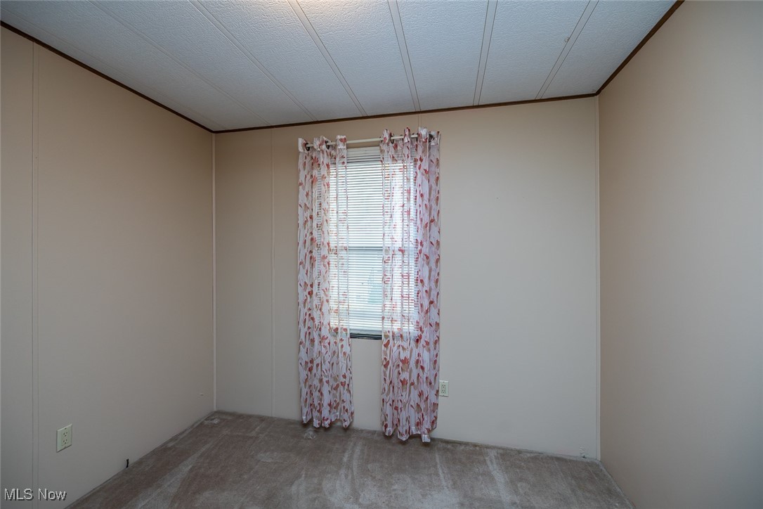 32 Sycamore