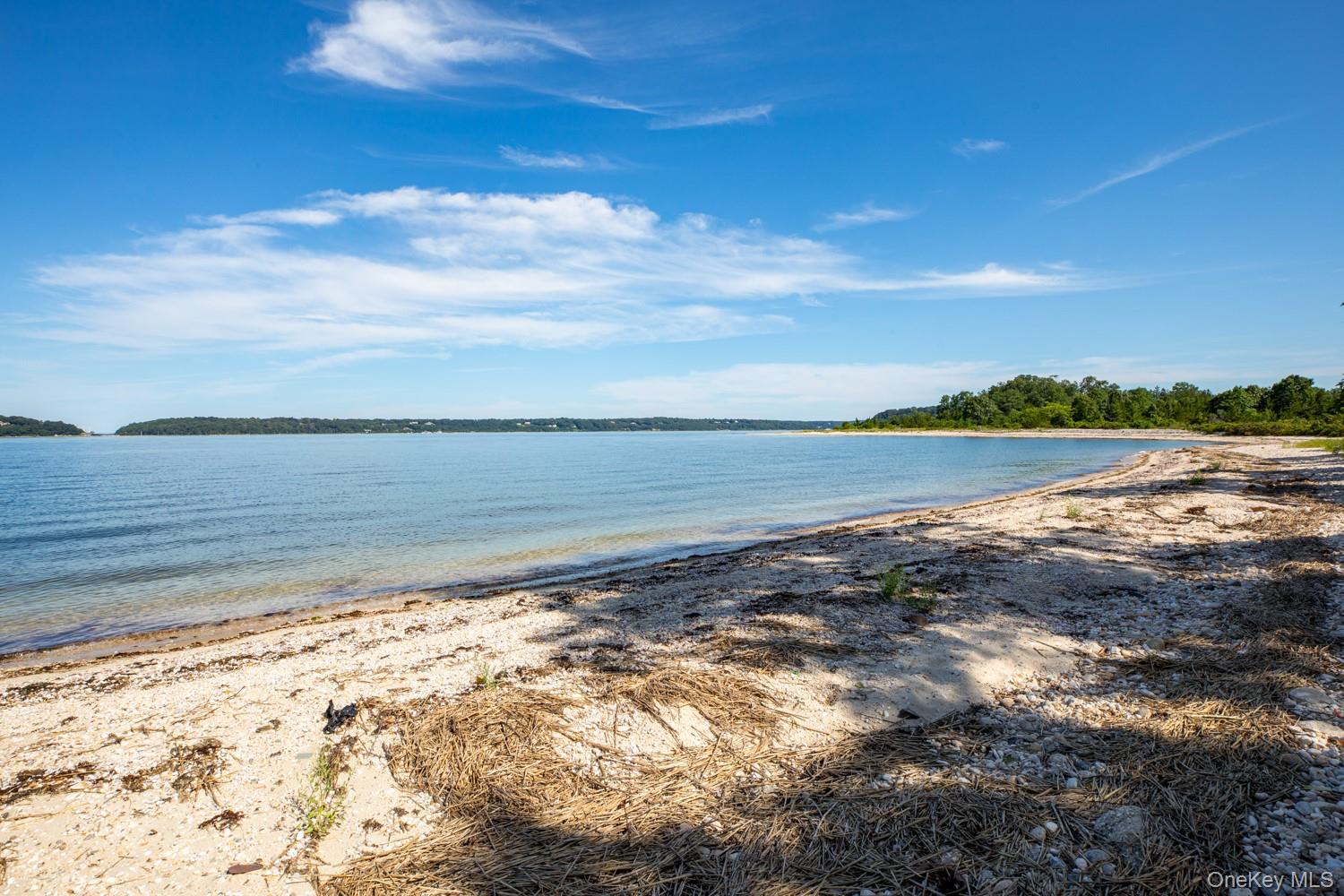 Pebbly beach beside calm blue water, with a wooded shoreline in the distance.