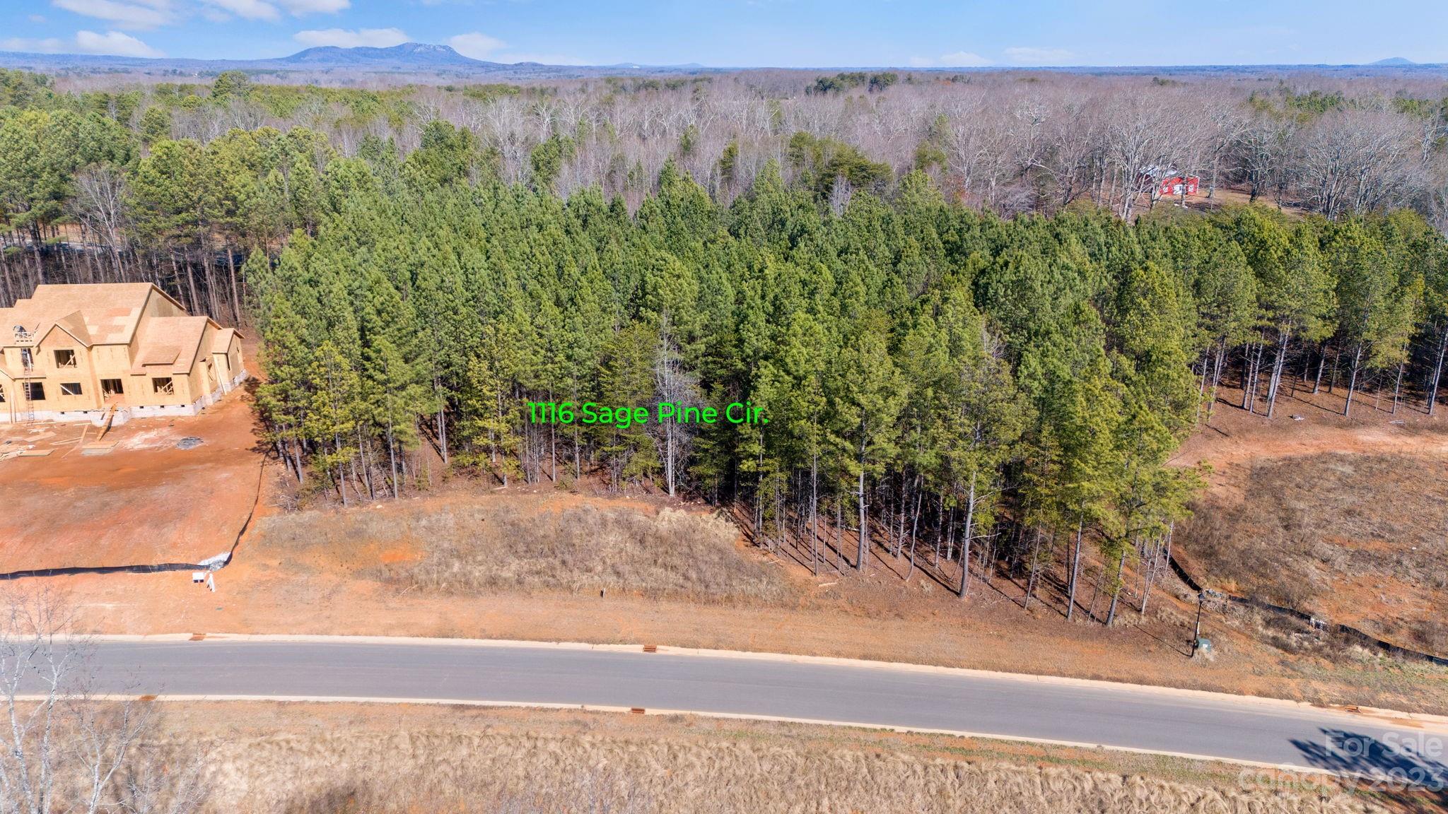 1116 Sage Pine Circle