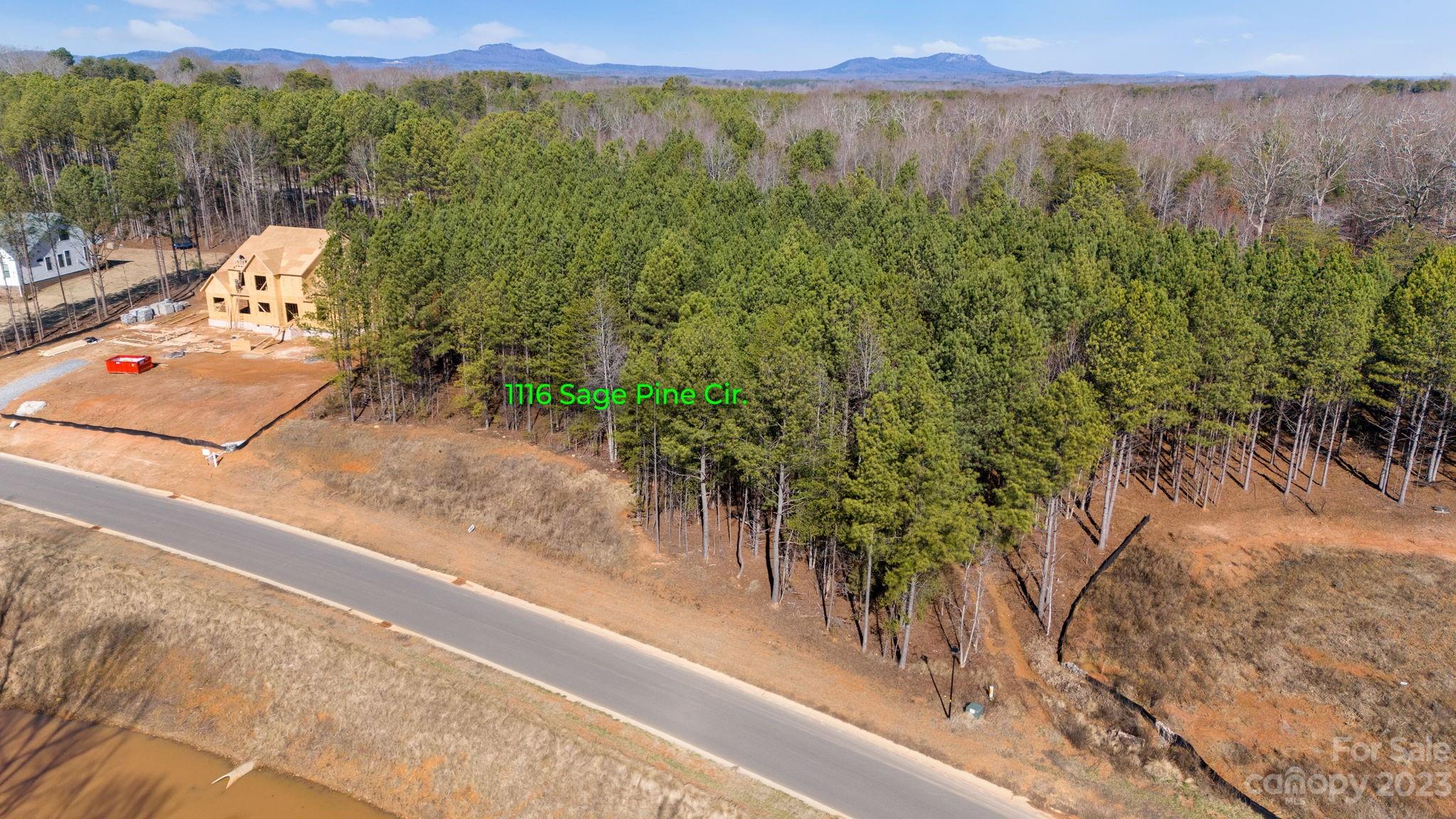 1116 Sage Pine Circle