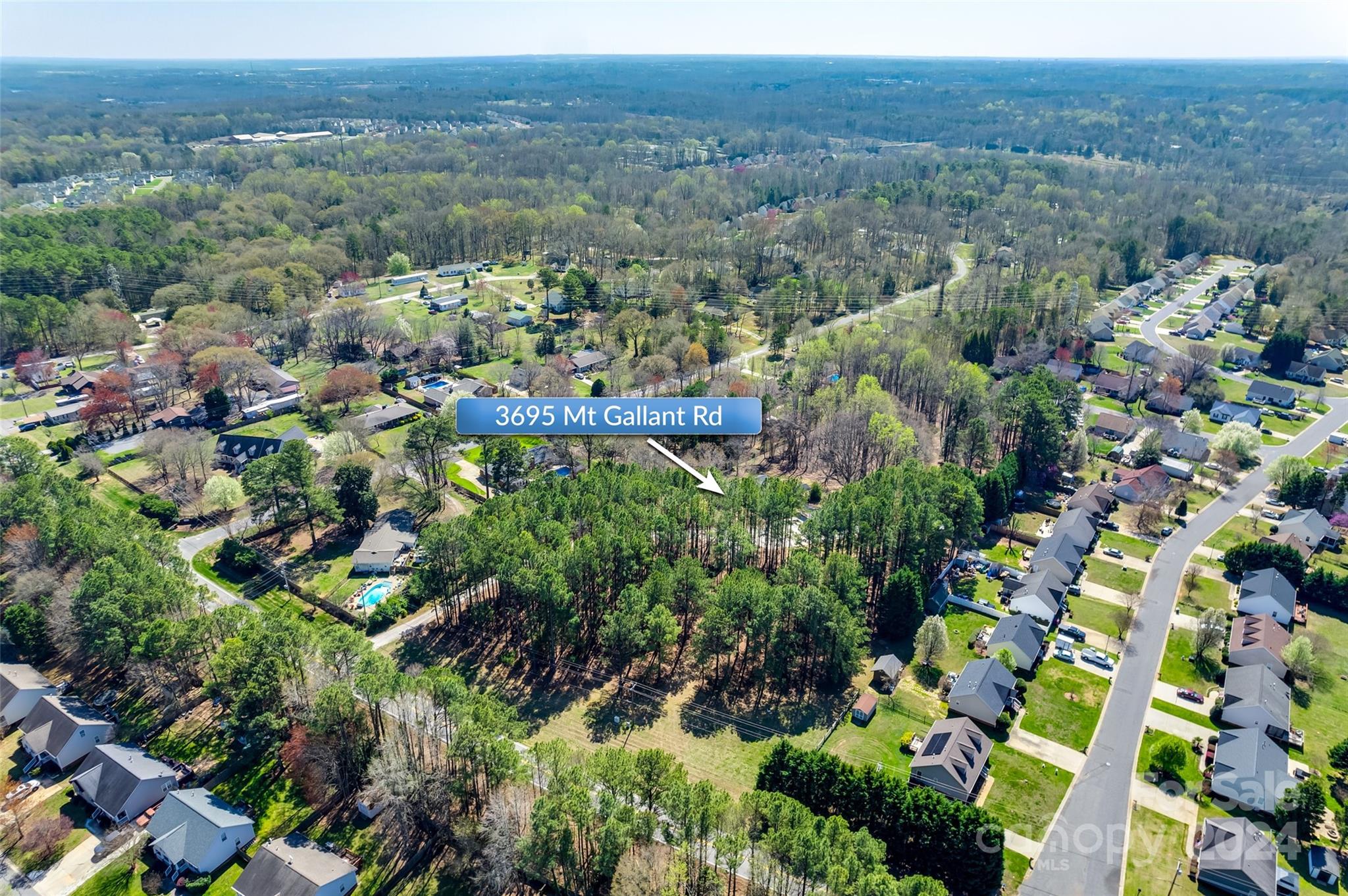 3695 Mt Gallant Road