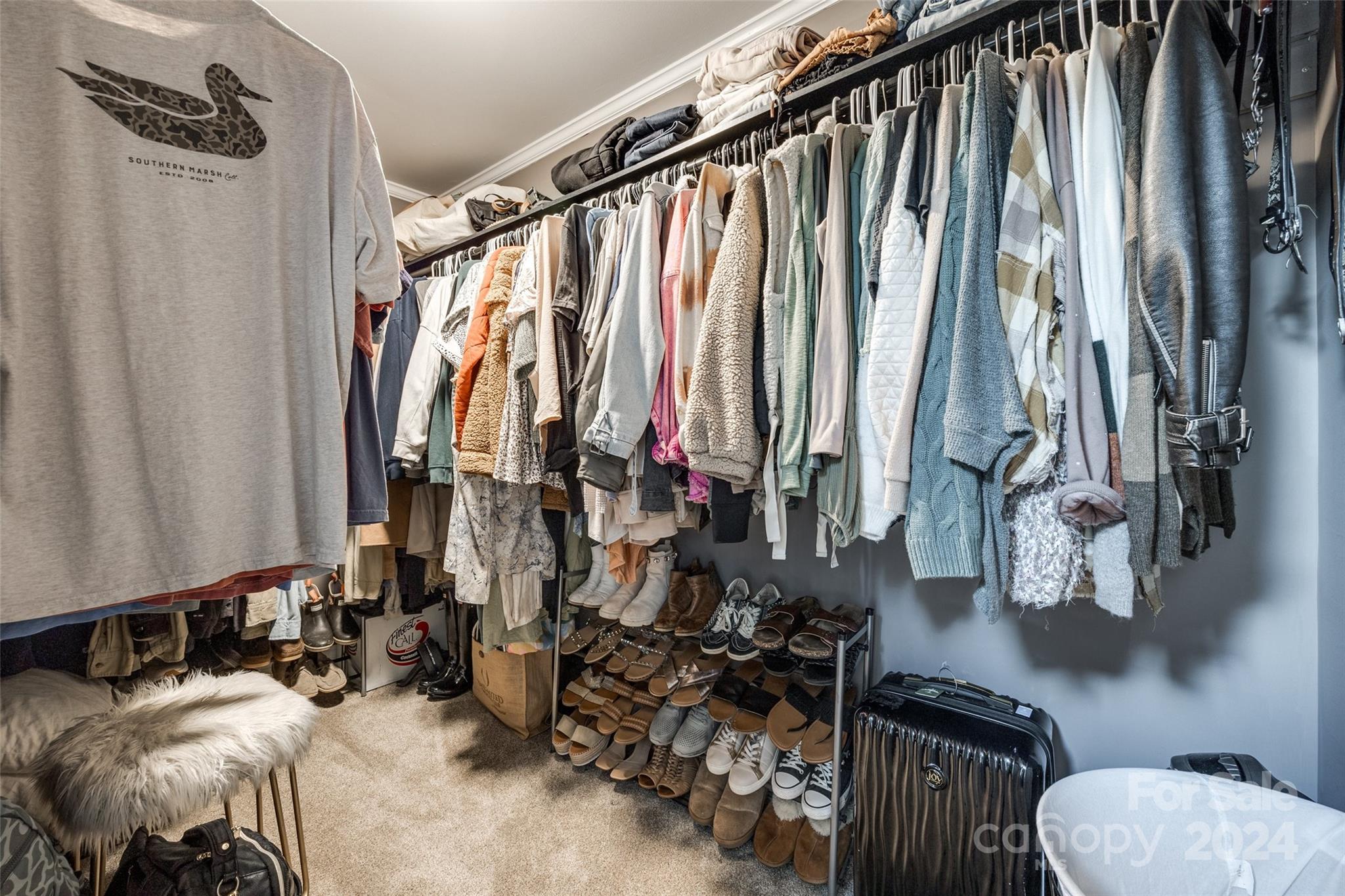 3695 Mt Gallant Road