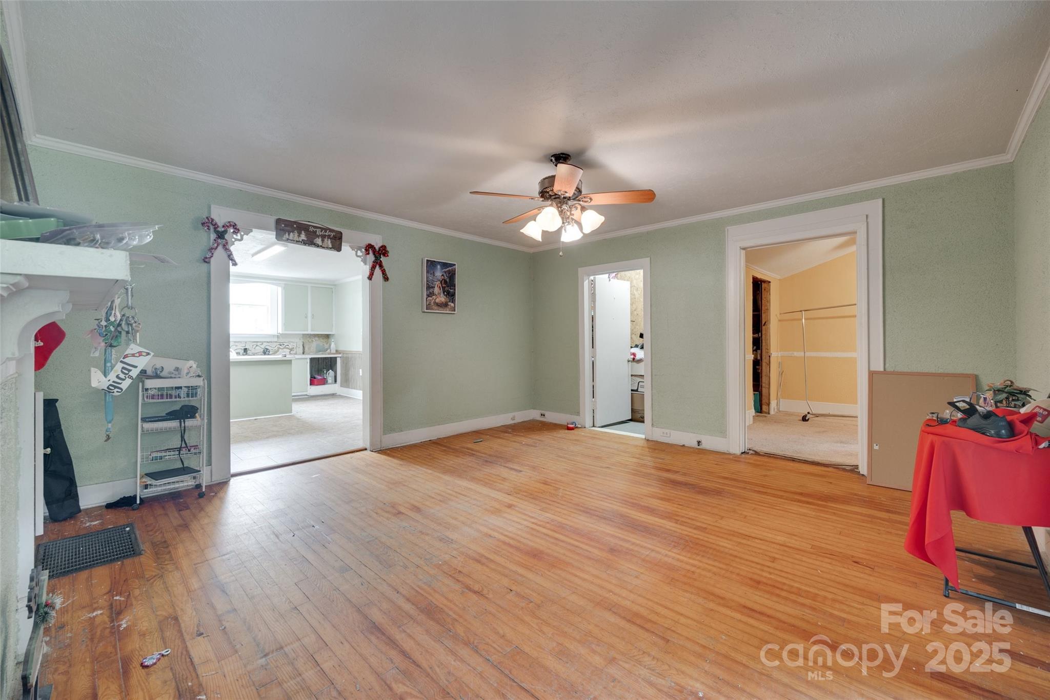 302 Charlotte Street