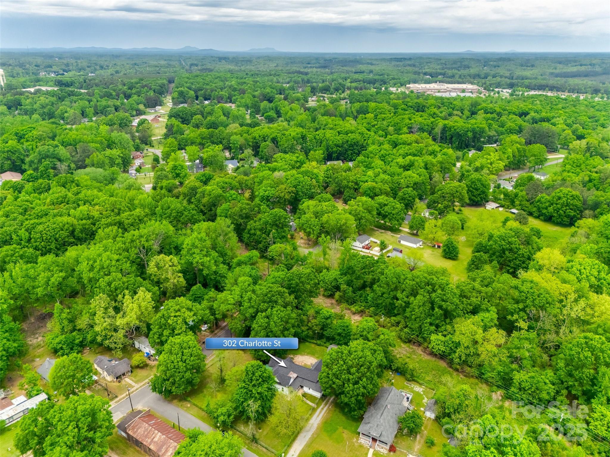 302 Charlotte Street