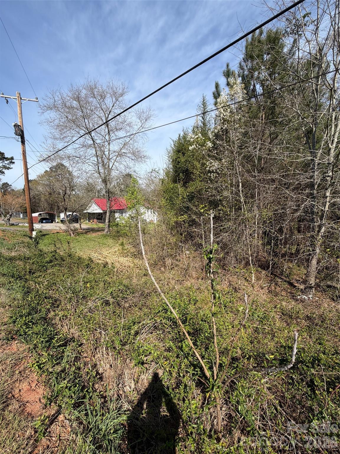 Overgrown wooded lot with overhead power lines and a distant white building with a red roof.