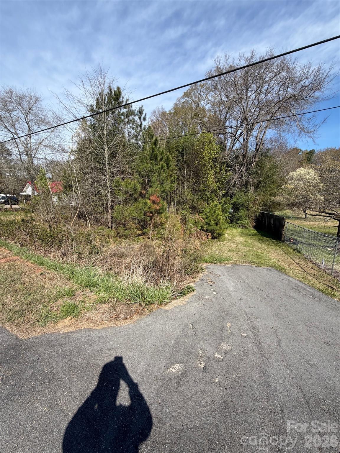 Wooded lot with brush beside a paved driveway and fenced grassy area.