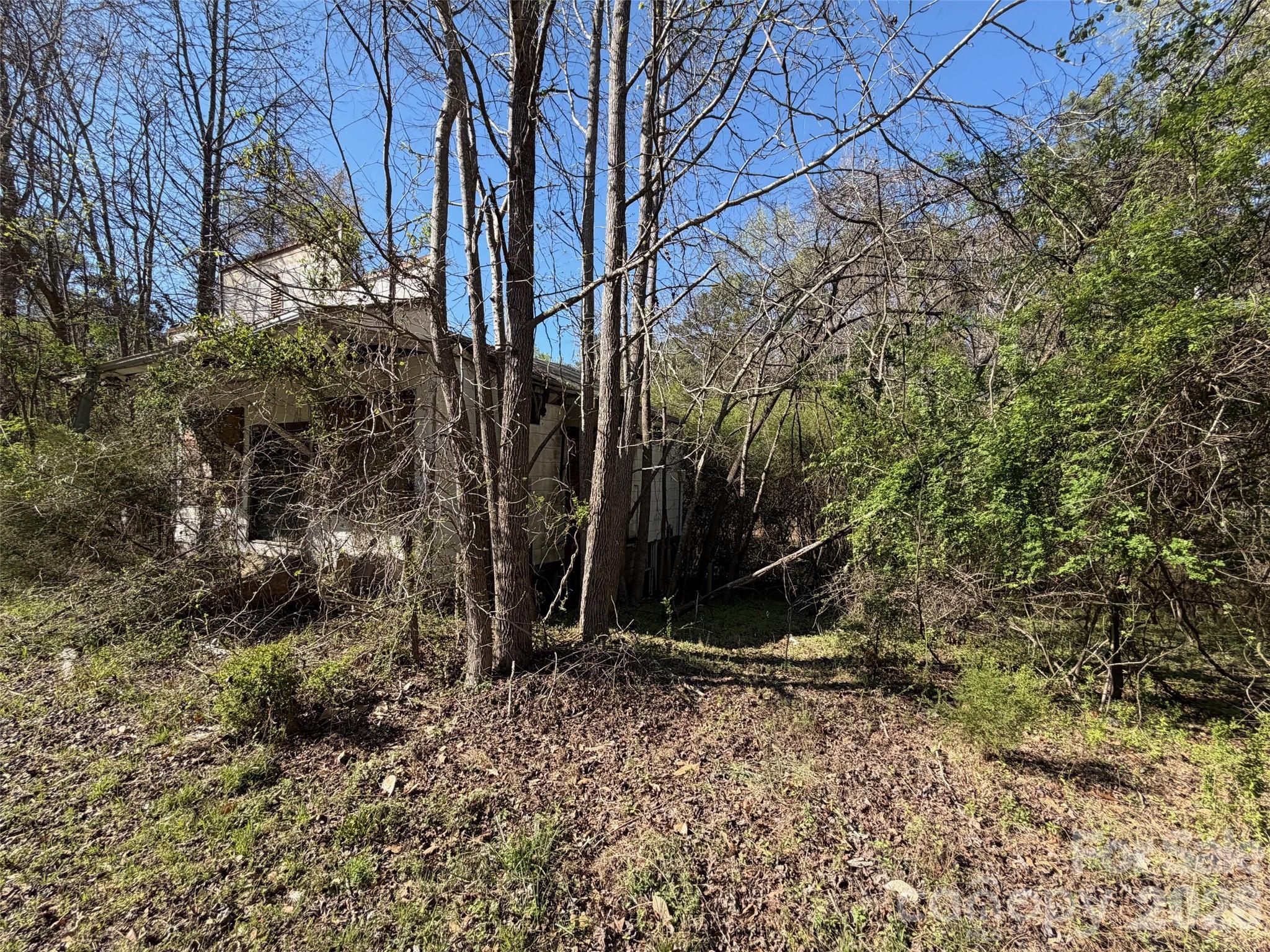 House partly obscured by bare trees and dense brush on a wooded lot.