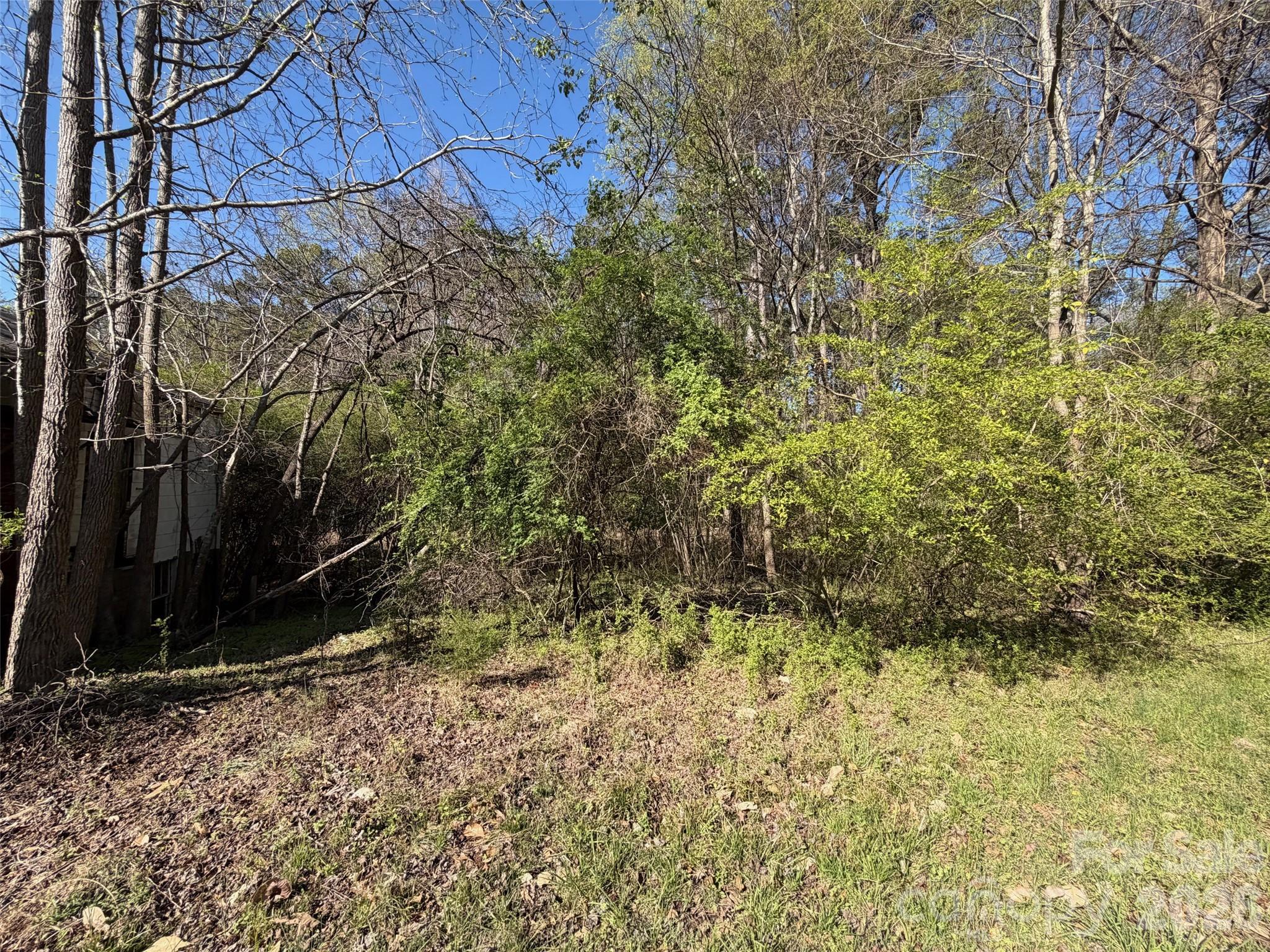 Wooded lot with dense brush and sloping grass; part of a house is visible through trees on the left.