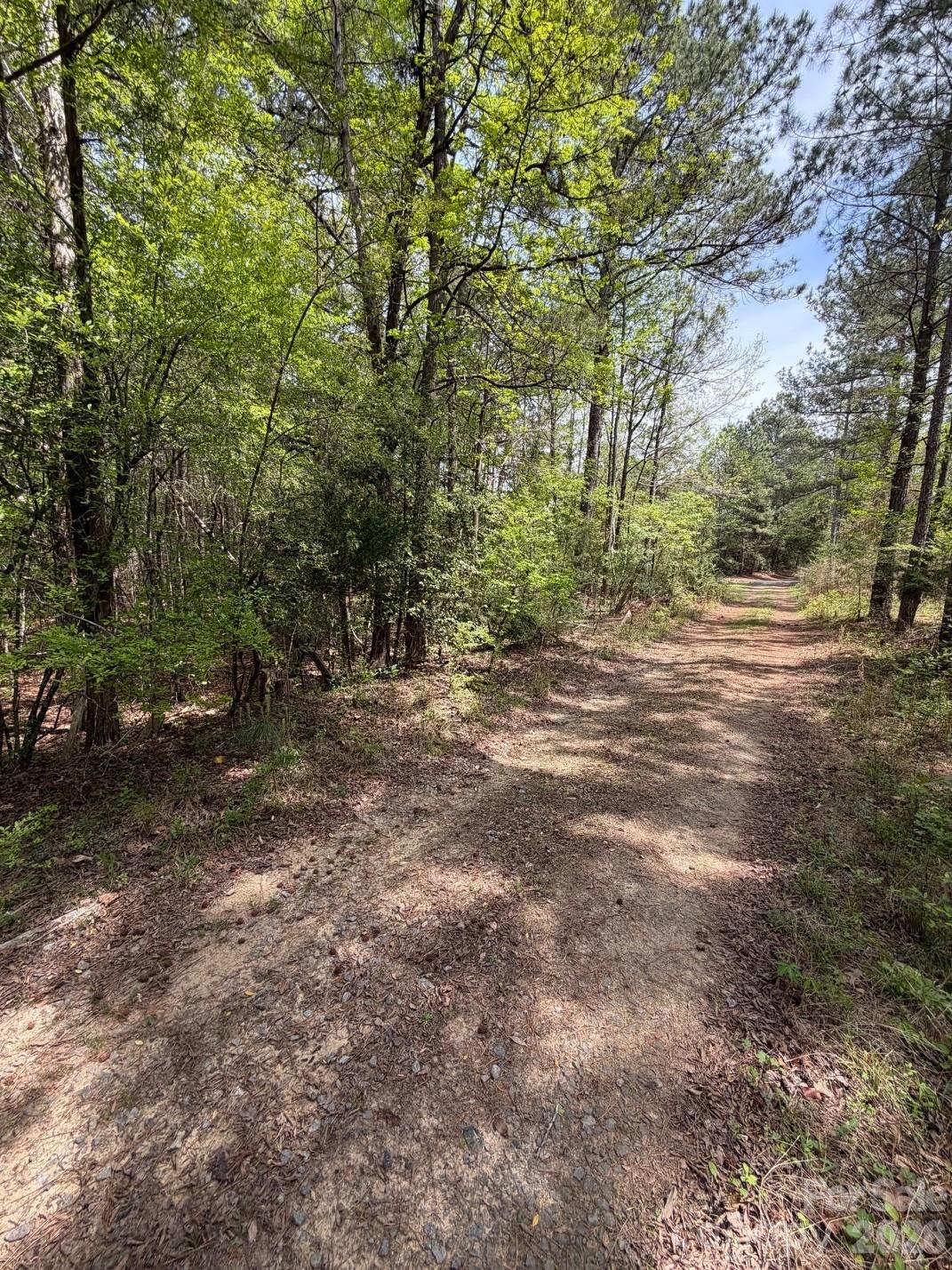 Wooded property with a dirt and gravel access track winding between trees.