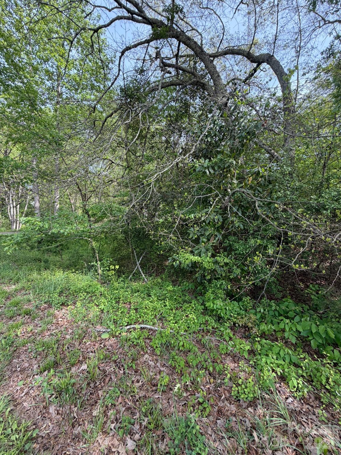 125 Sharon Road