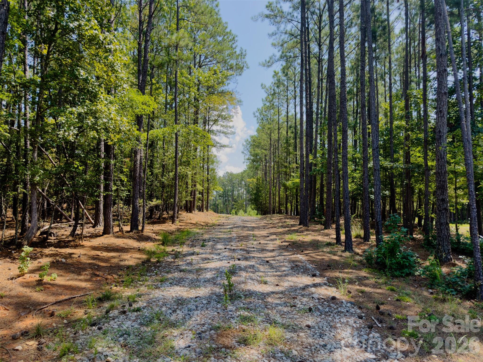 955 Cole Trestle Road