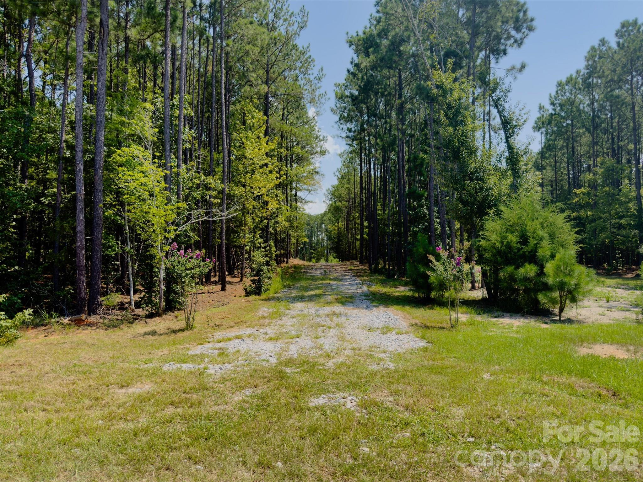 955 Cole Trestle Road