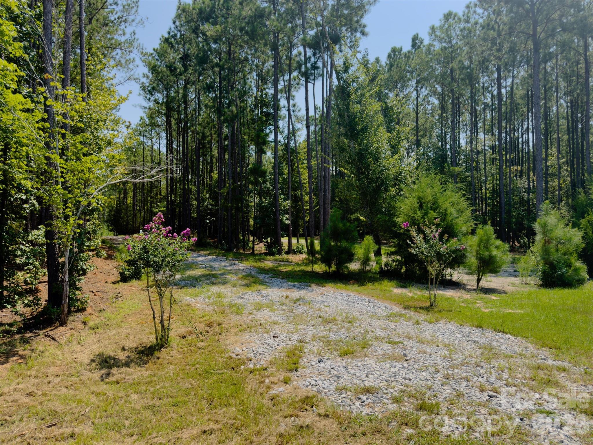 955 Cole Trestle Road