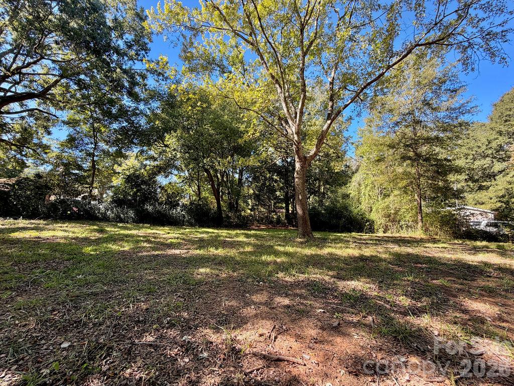 1013 Neely Store Road