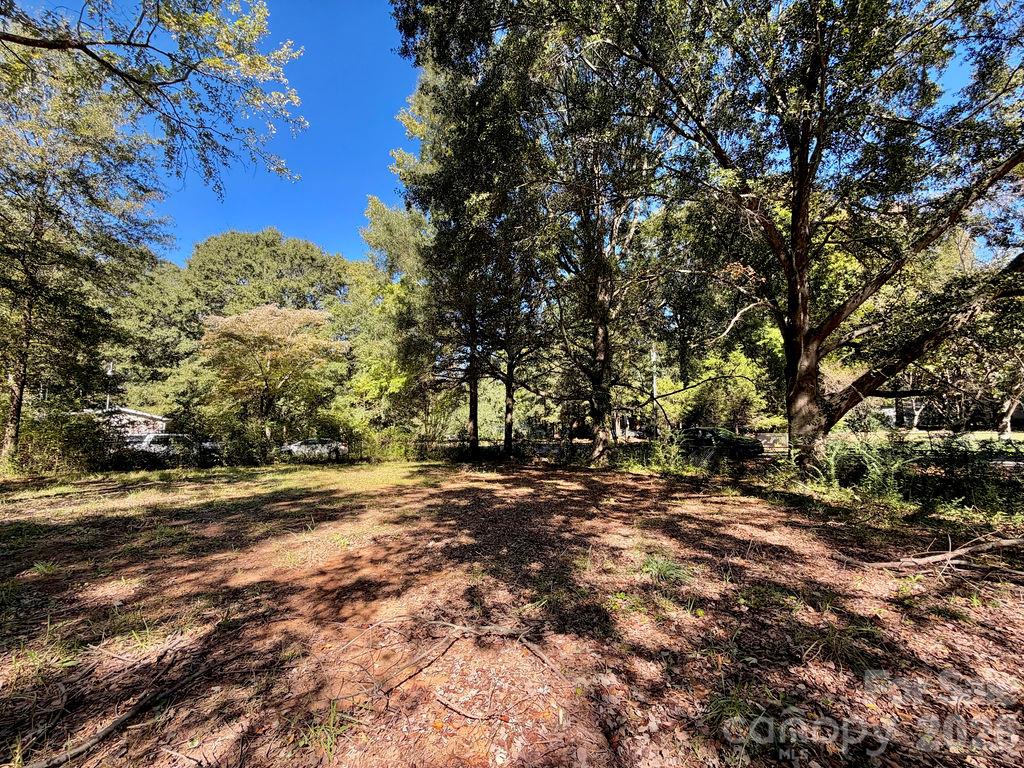 1013 Neely Store Road