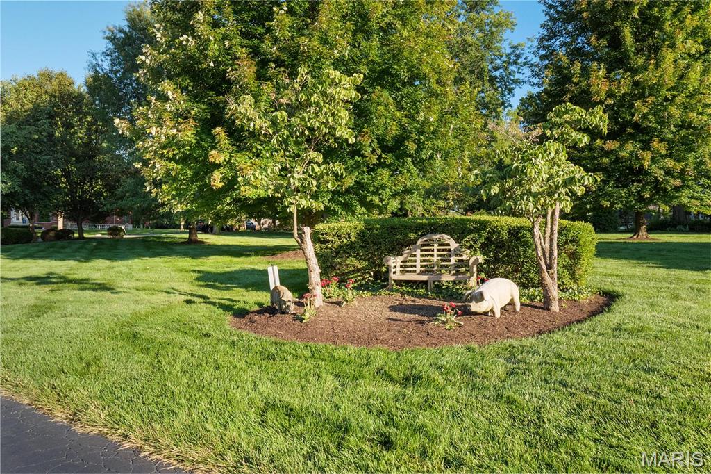 4 Country Life Acres