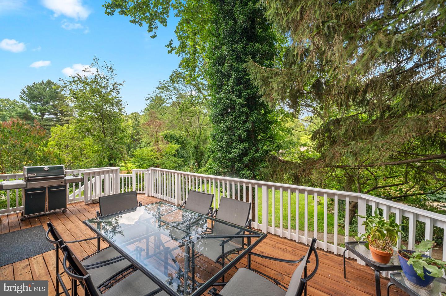 211 Spruce Tree Rd
