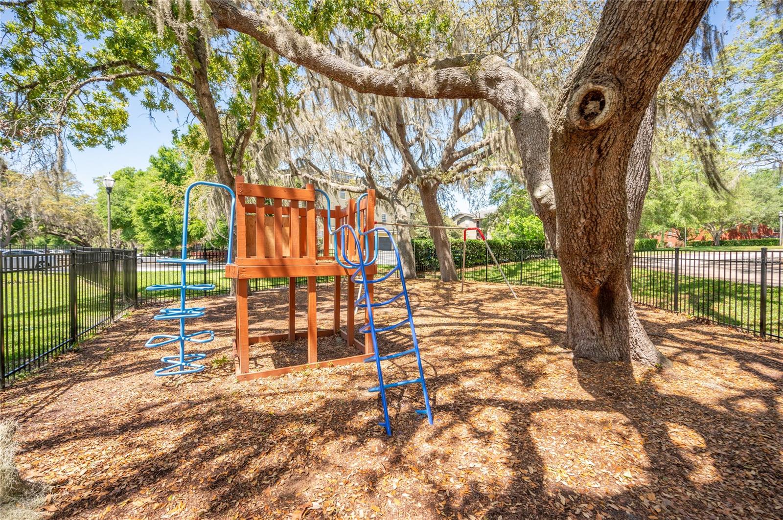 1321 ARBOR VISTA LOOP #213