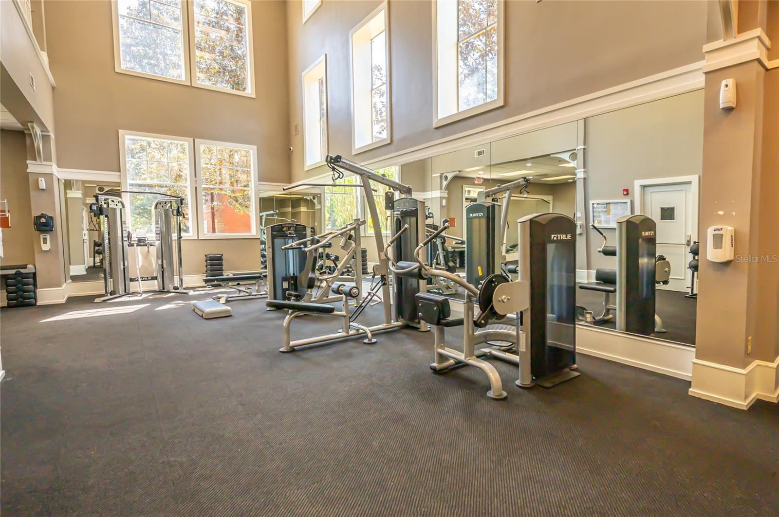 1321 ARBOR VISTA LOOP #213