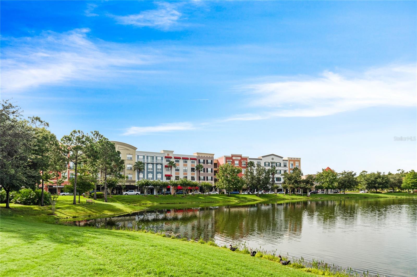 3406 CARRIAGE LAKE DR