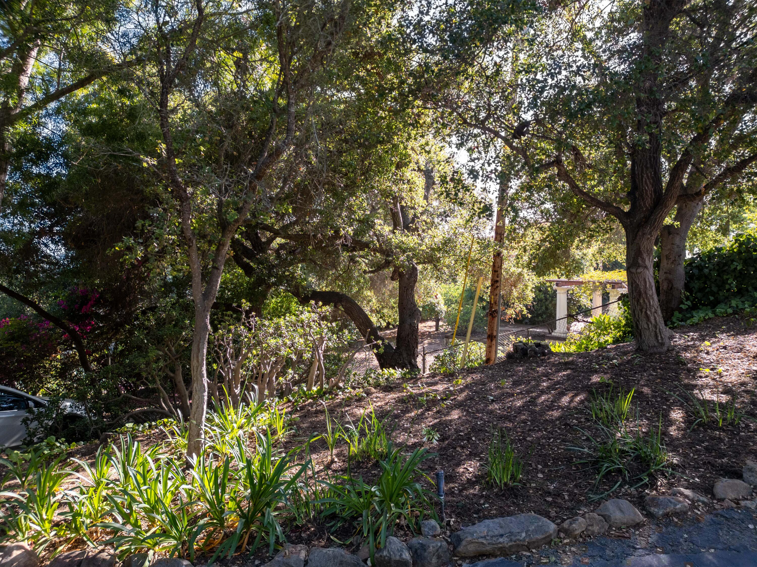 111 Canyon Acres Drive