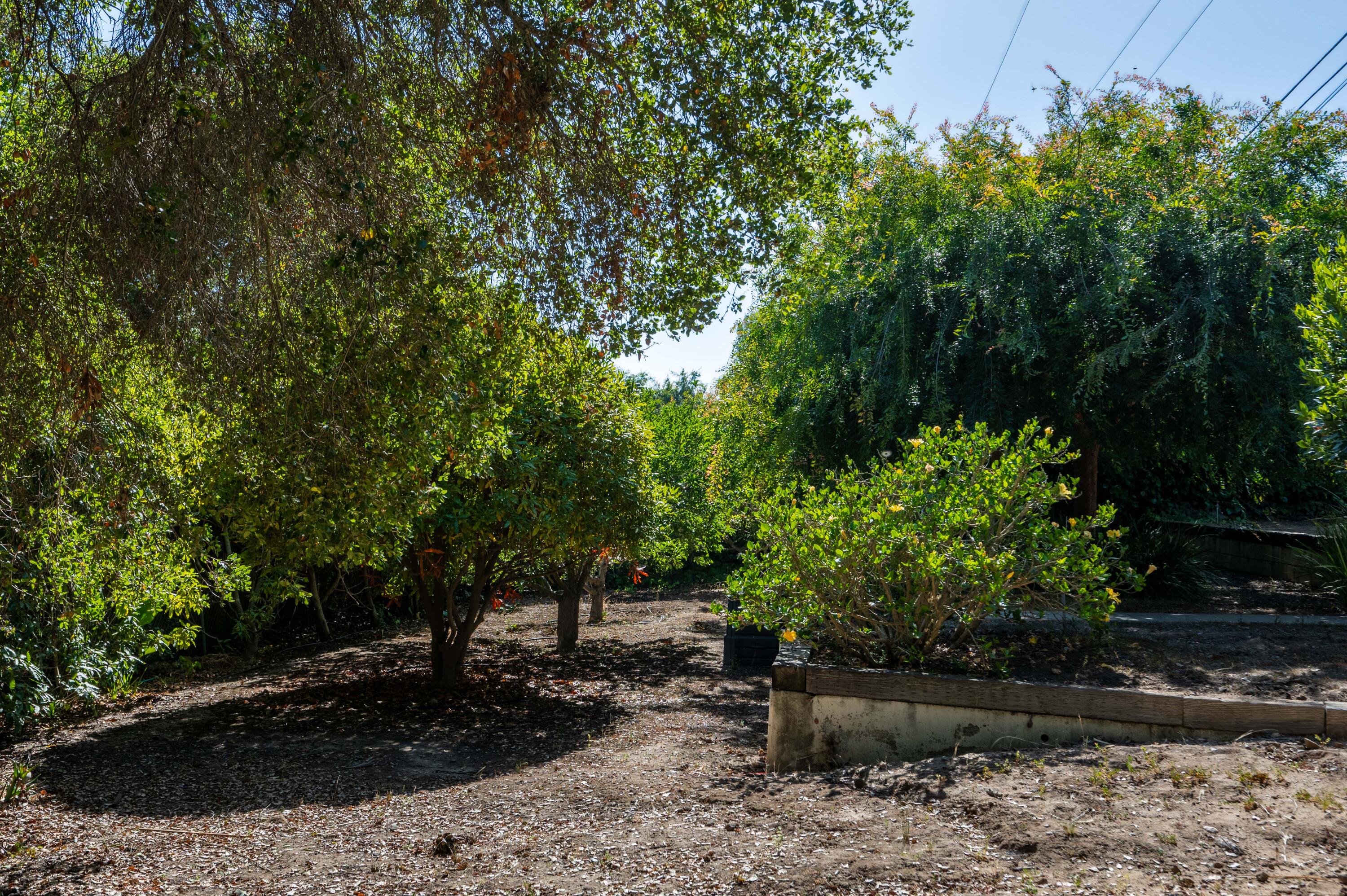 111 Canyon Acres Drive