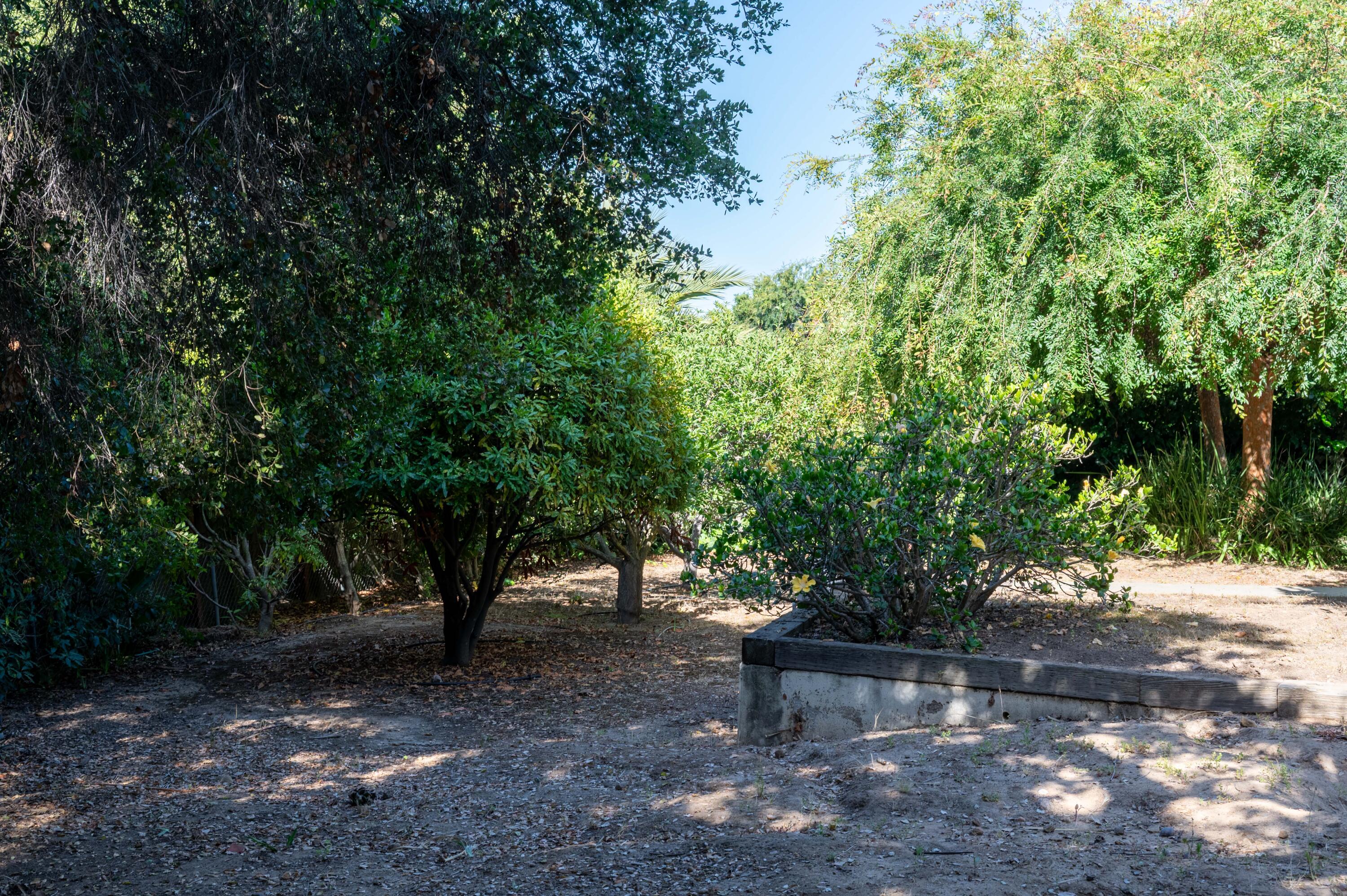 111 Canyon Acres Drive