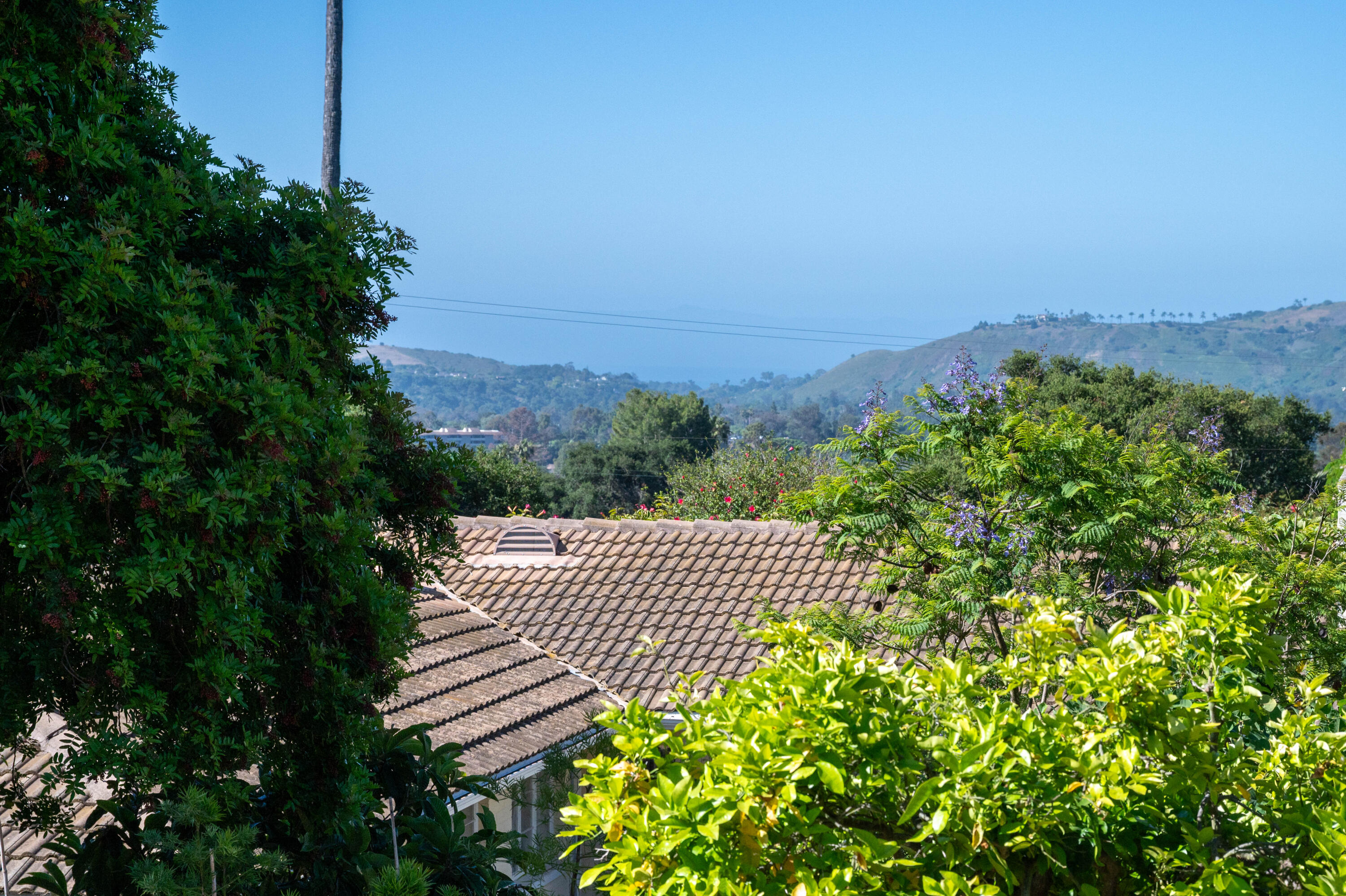 111 Canyon Acres Drive