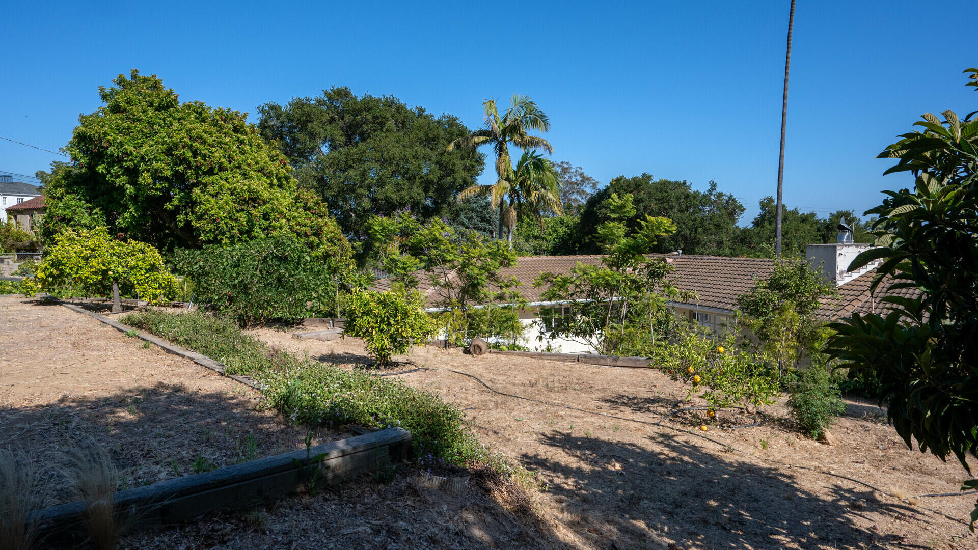 111 Canyon Acres Drive