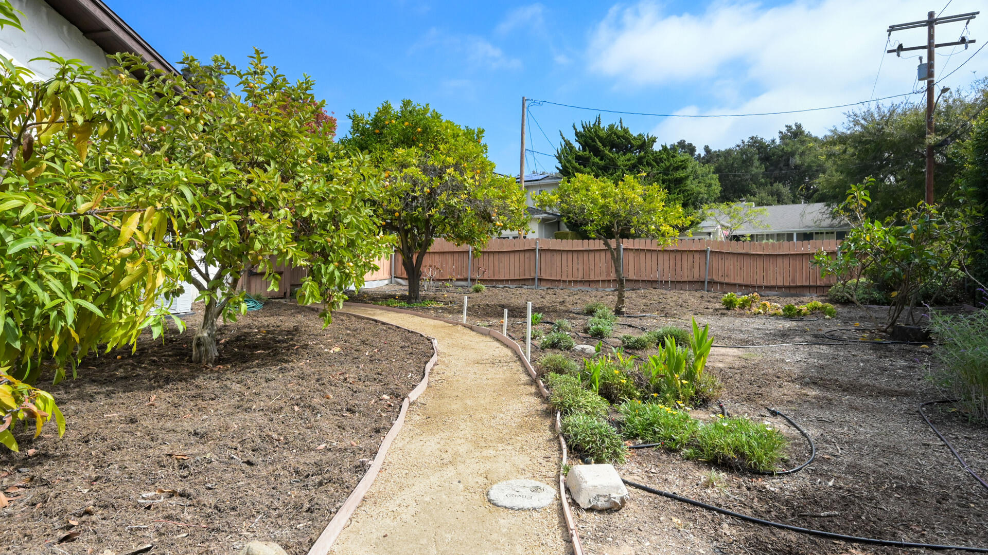 Backyard garden with a winding gravel path, citrus trees, planting beds, and a wooden fence.