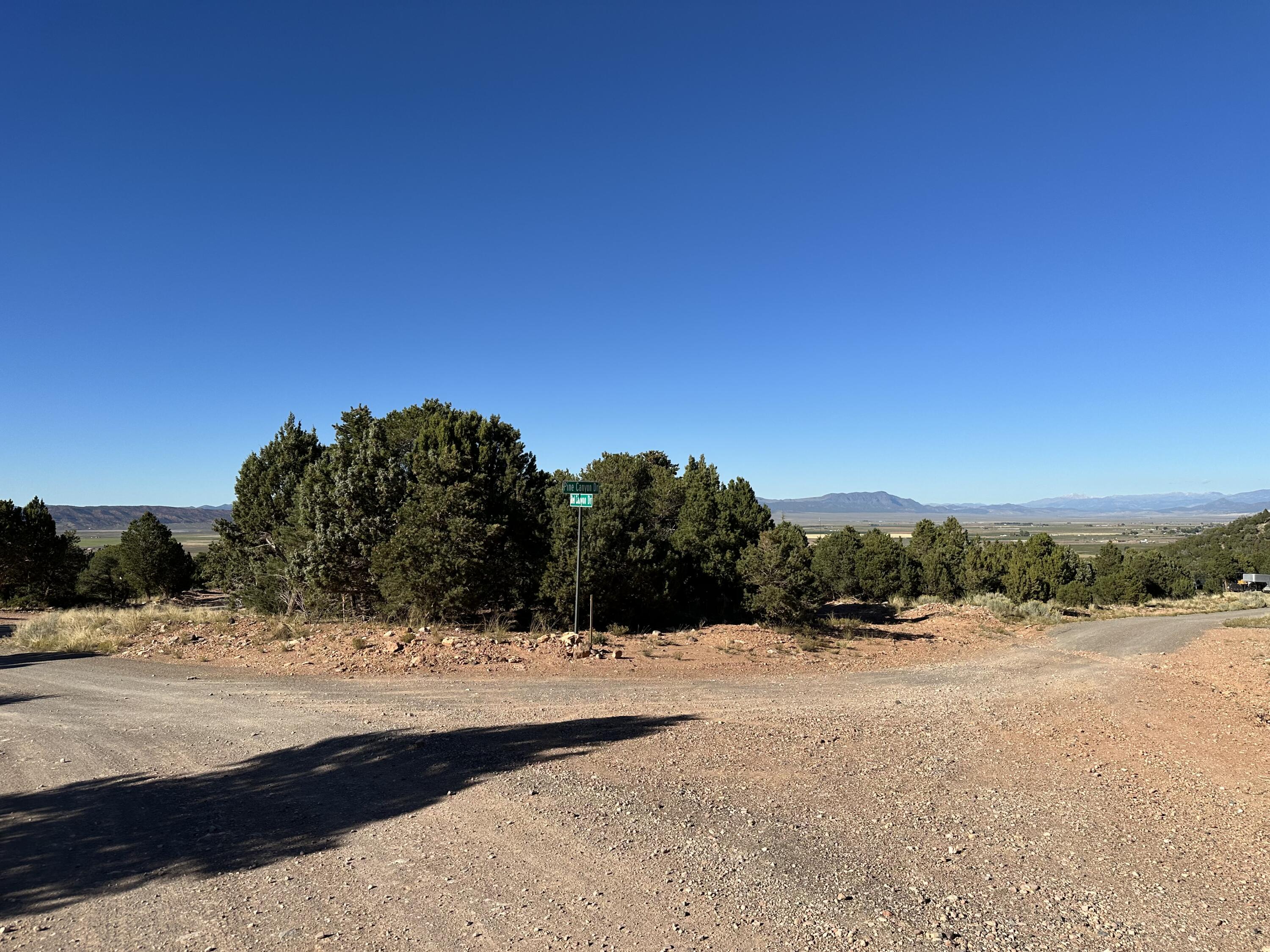 1503 S Red Canyon DR S