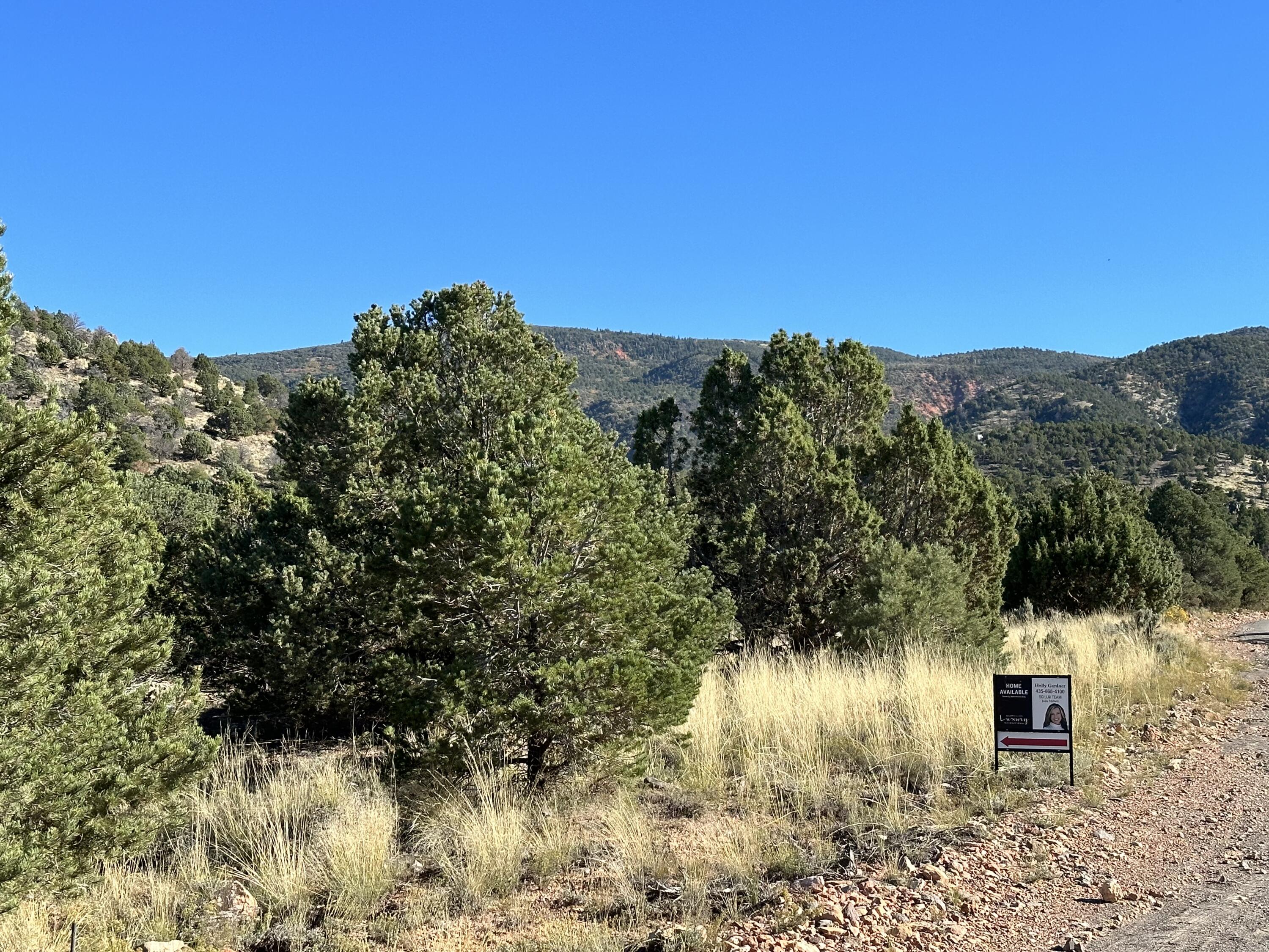 1503 S Red Canyon DR S